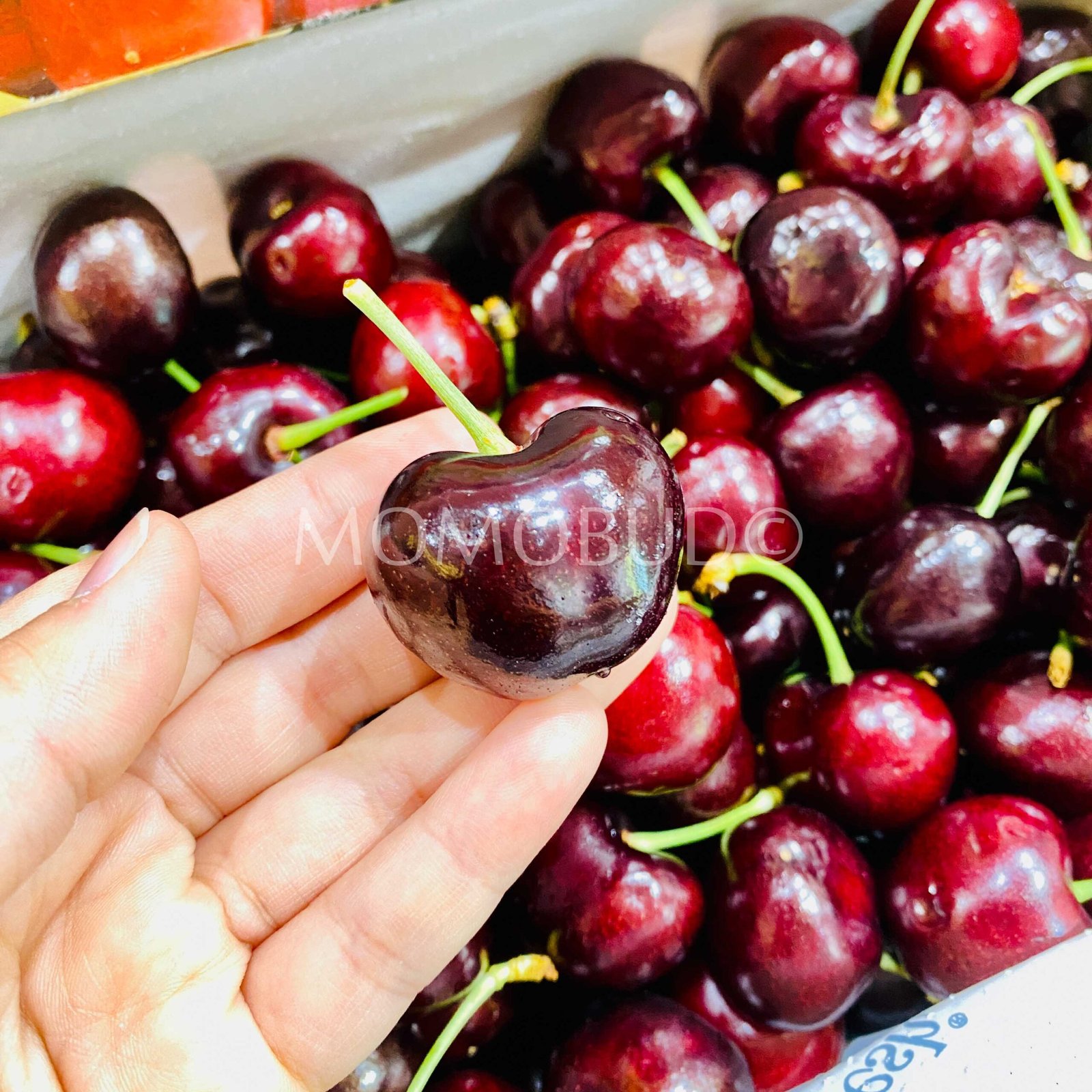 Australian Wandin Valley Farms Royal Lennox Red Cherry Gift Box (2kg) - Image 3
