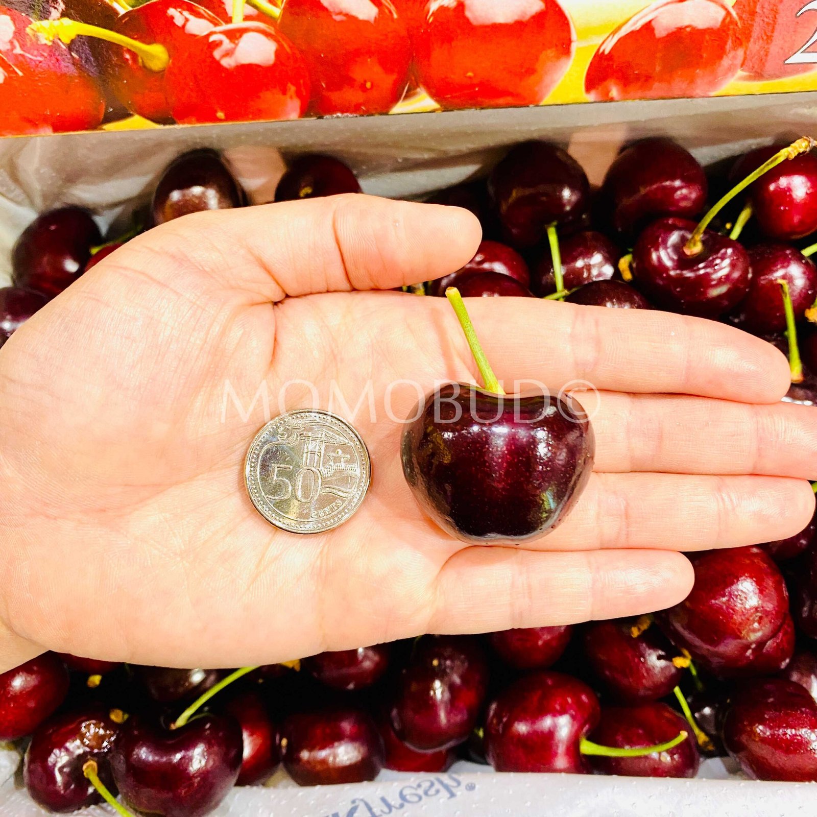 Australian Wandin Valley Farms Royal Lennox Red Cherry Gift Box (2kg) - Image 4