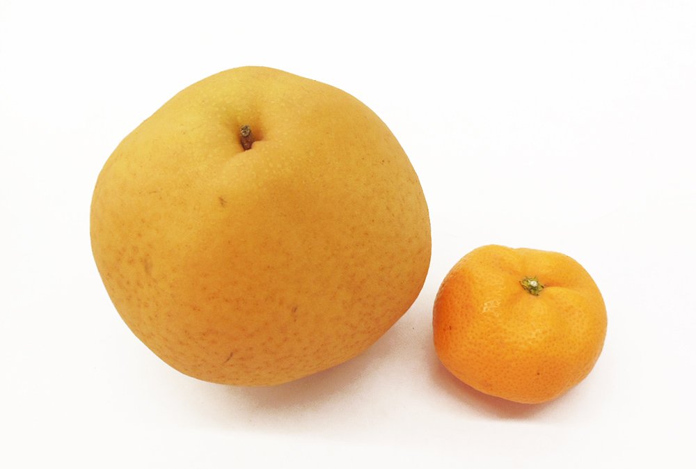 Japanese Bansankichi Pear (Large) - Image 5