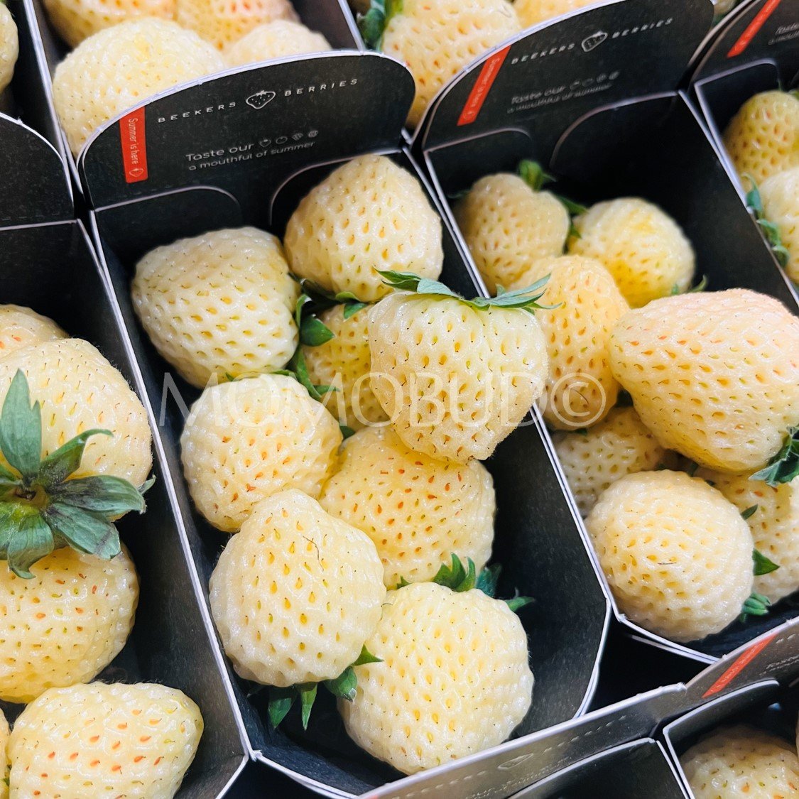 Beekers Specialties Yellowberry Strawberry (120g punnet) - Image 2