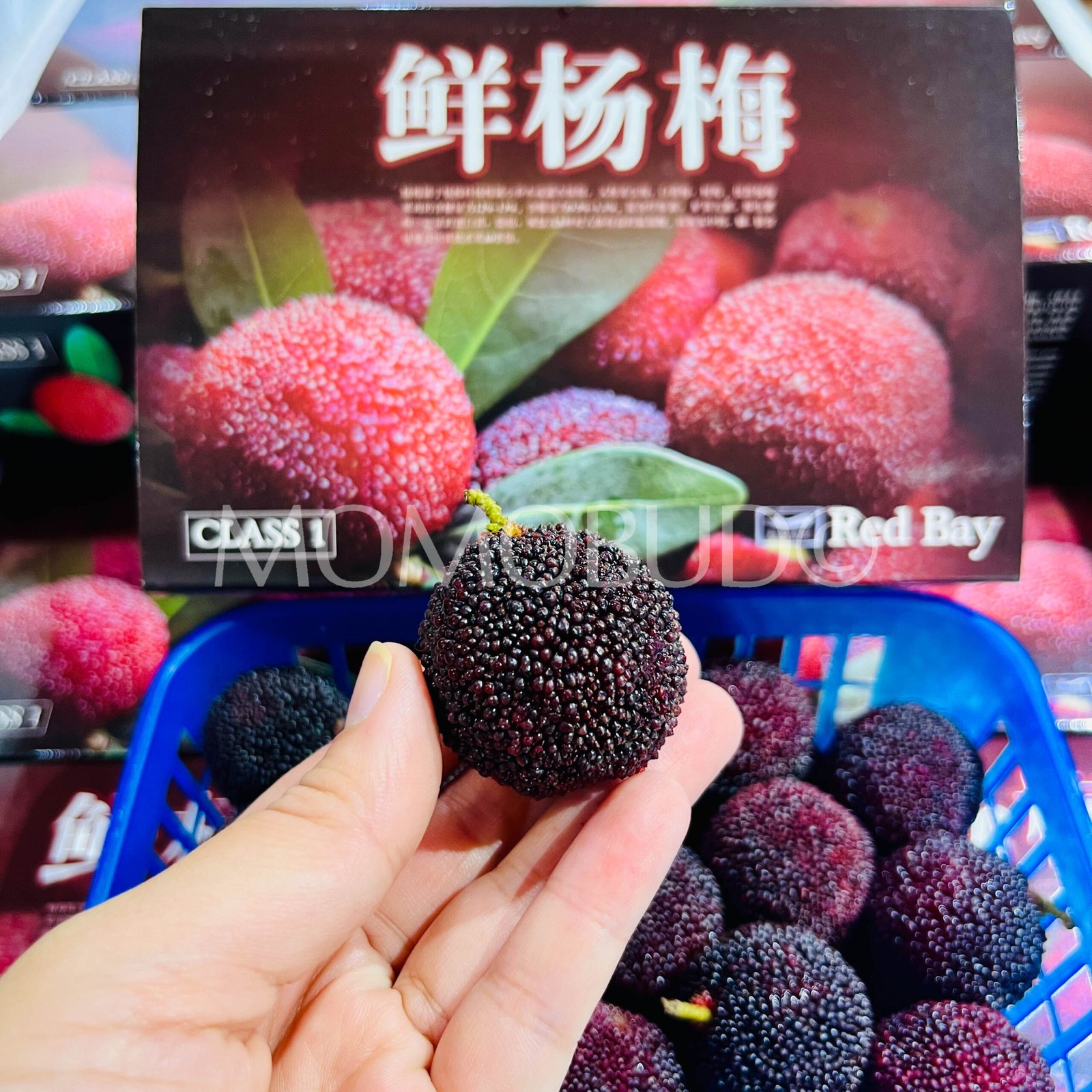 Black Chinese Bayberry (500g) - Image 3