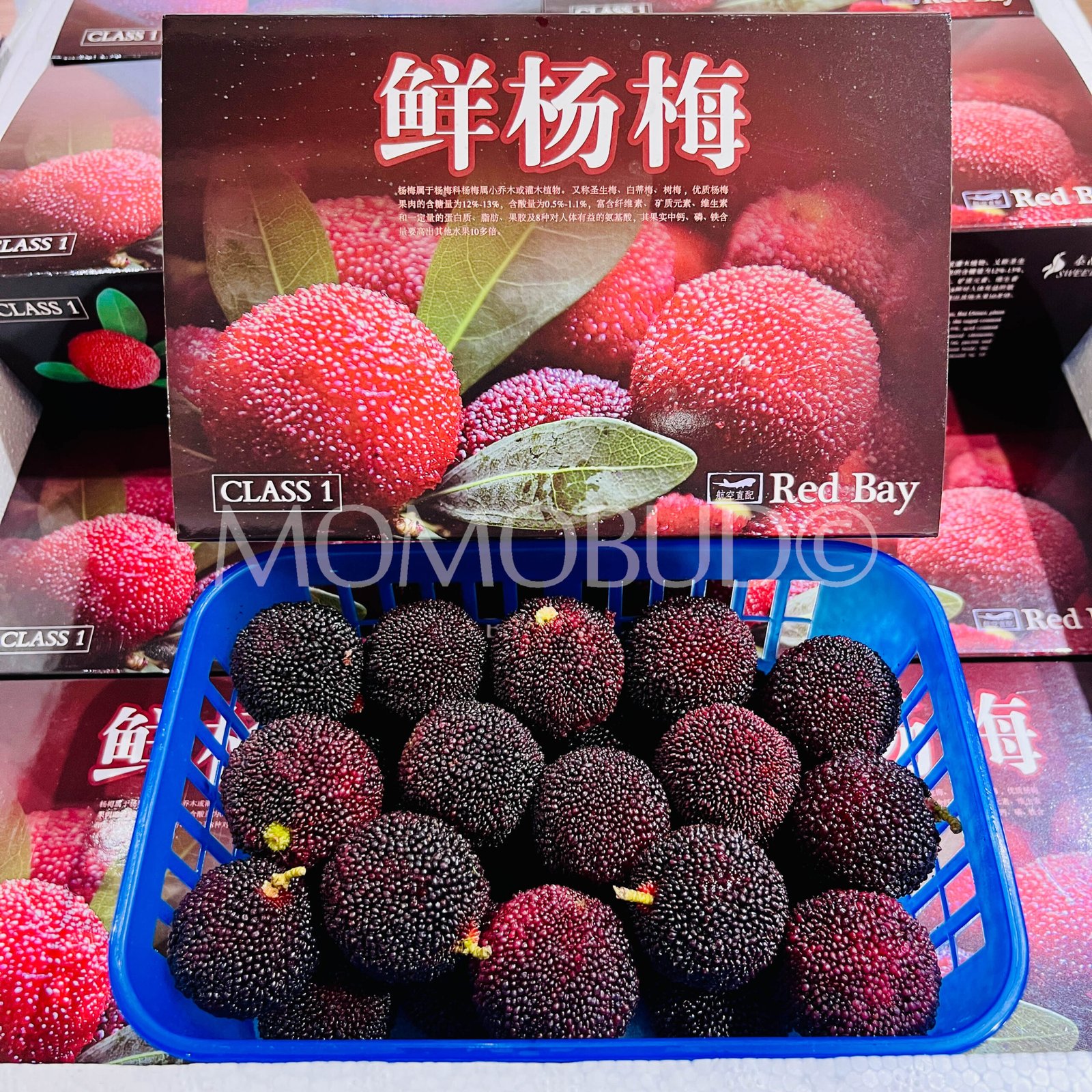Black Chinese Bayberry (500g) - Image 2