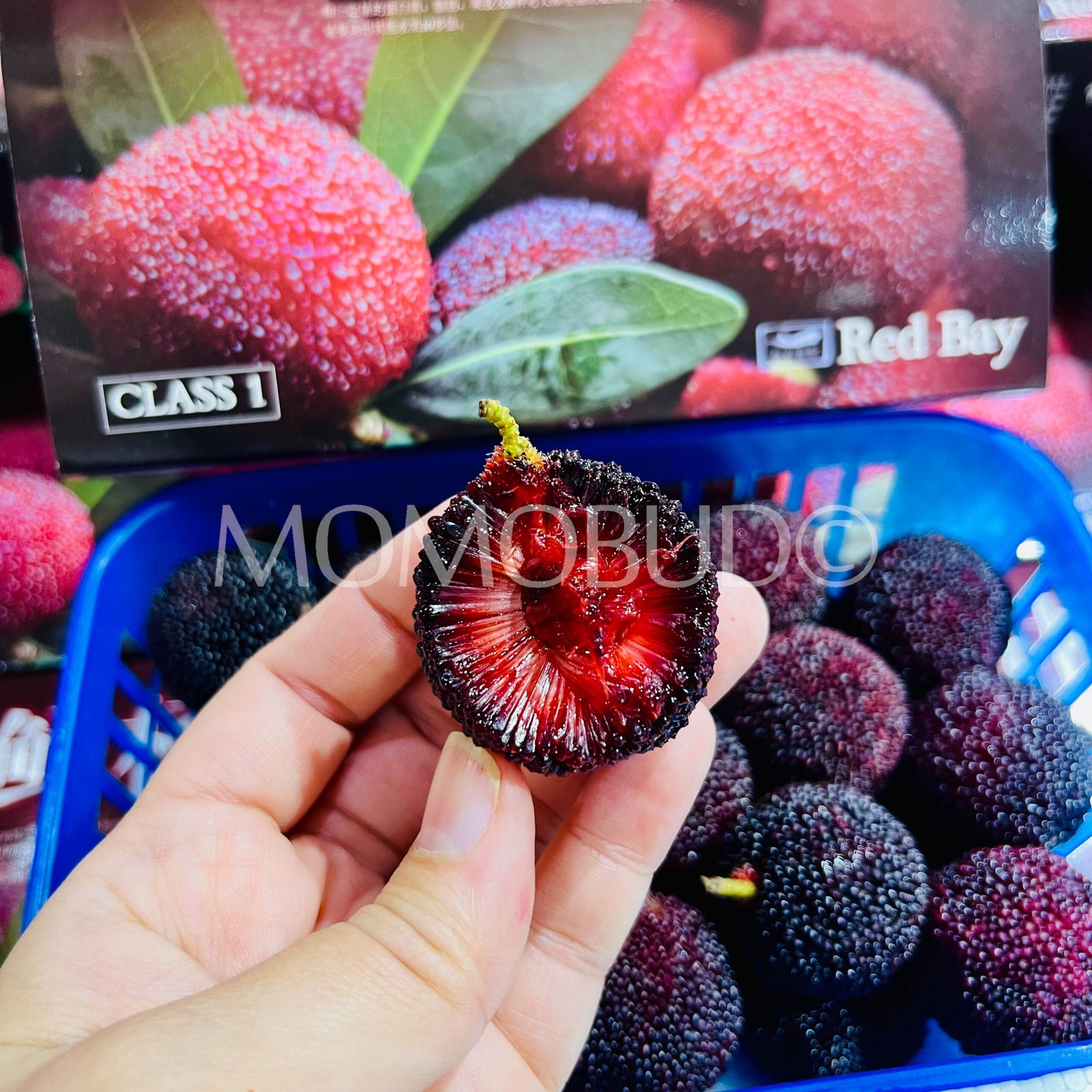 Black Chinese Bayberry (500g) - Image 4
