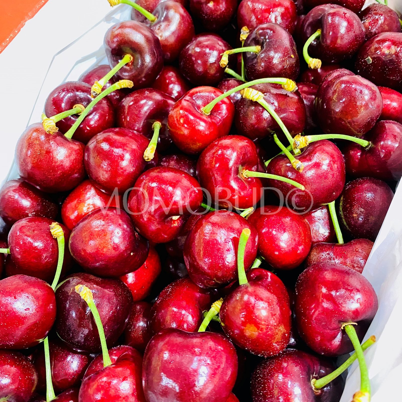 Boosey Fruit Sam Red Cherry Gift Box (2kg) - Image 2