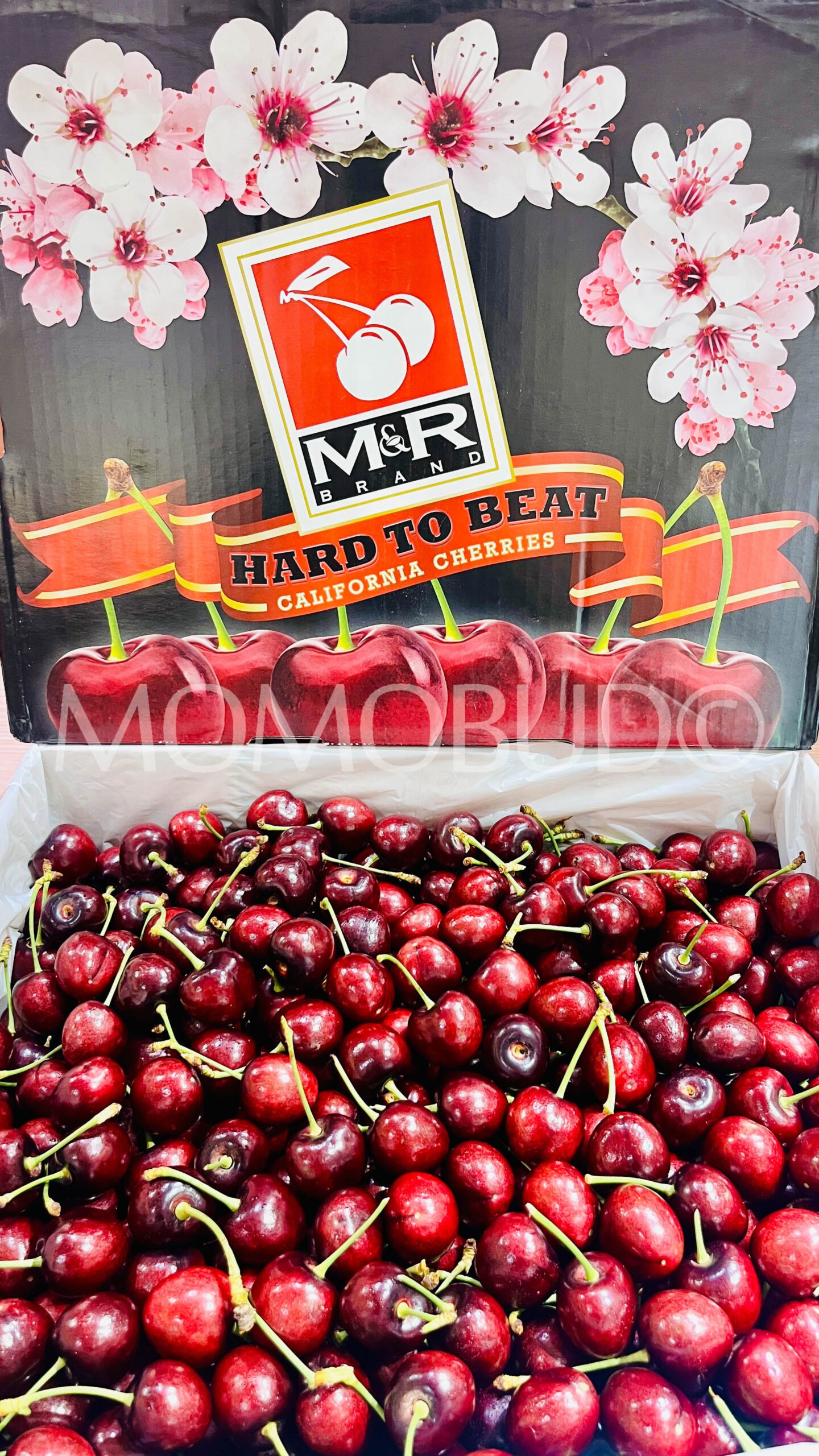 Royal Lynn Red Cherry - Image 2
