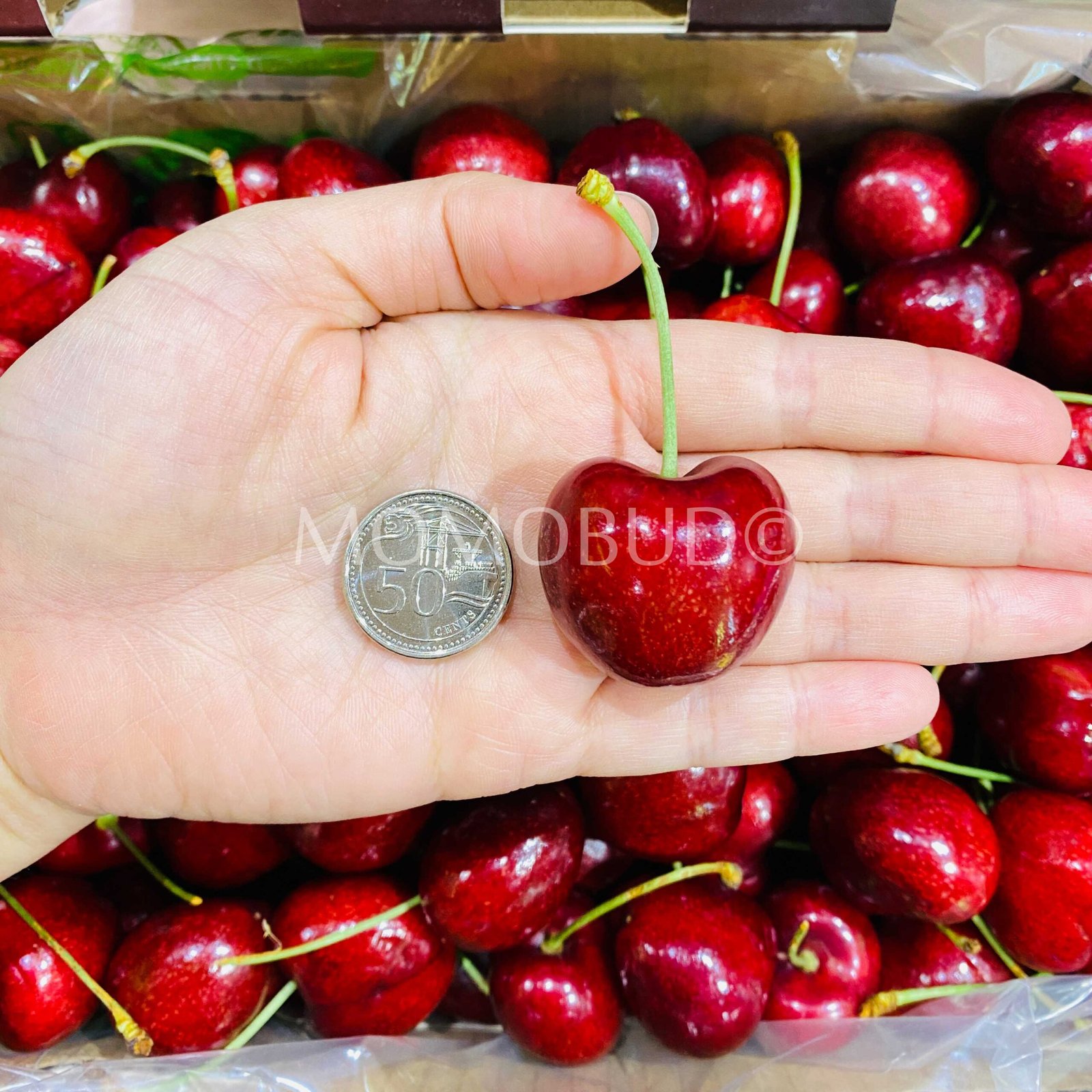 Chilean Lapin Red Cherry Gift Box (2.5kg) - Image 3