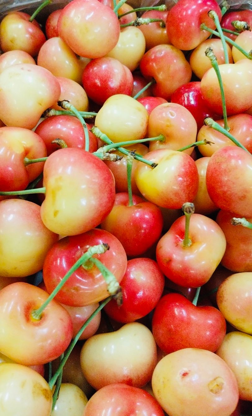 Chilean Frutea Rainier Cherry (X-Jumbo) - Image 3