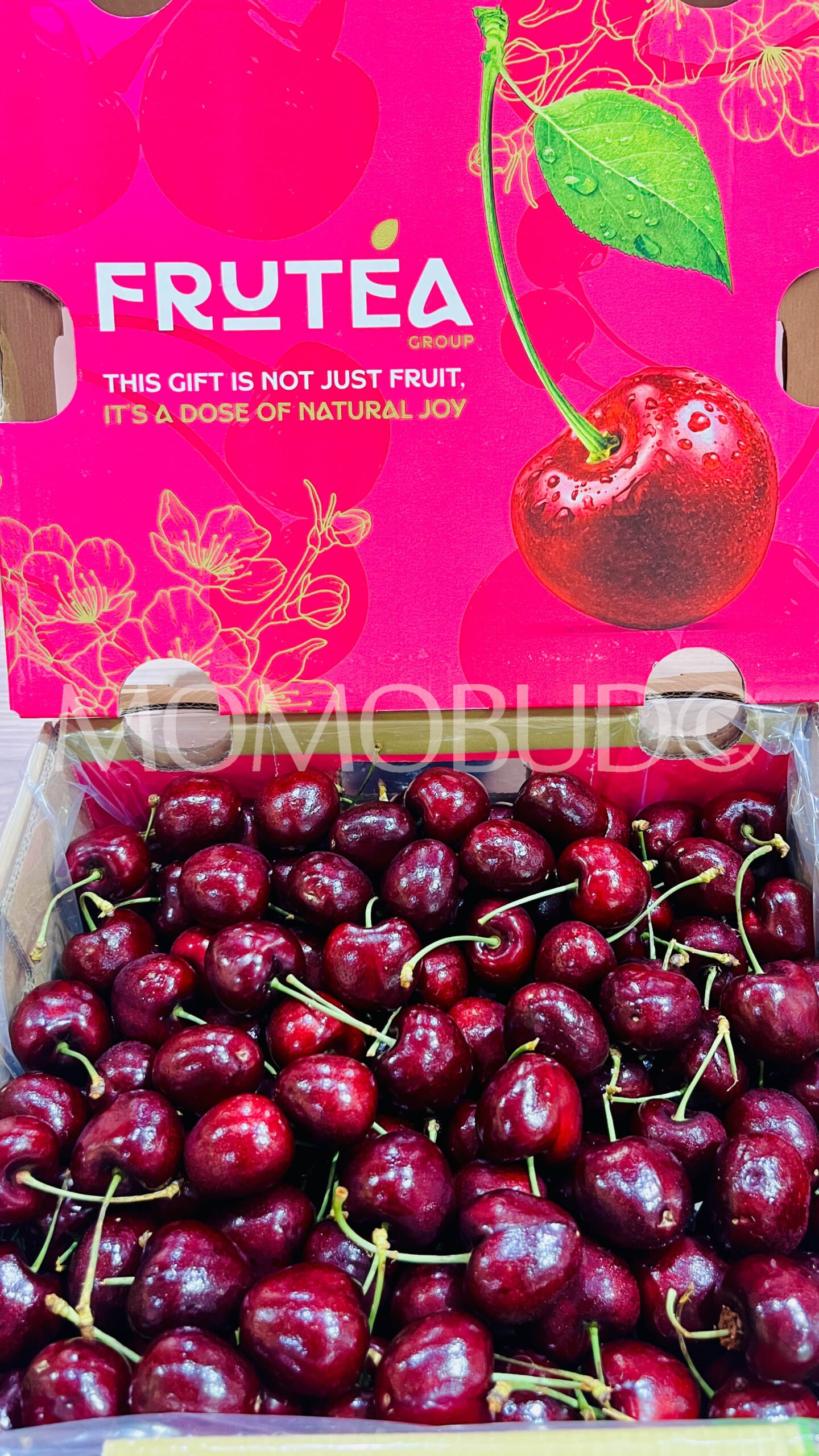 Chilean Frutea Santina Red Cherry (Jumbo) - Image 2