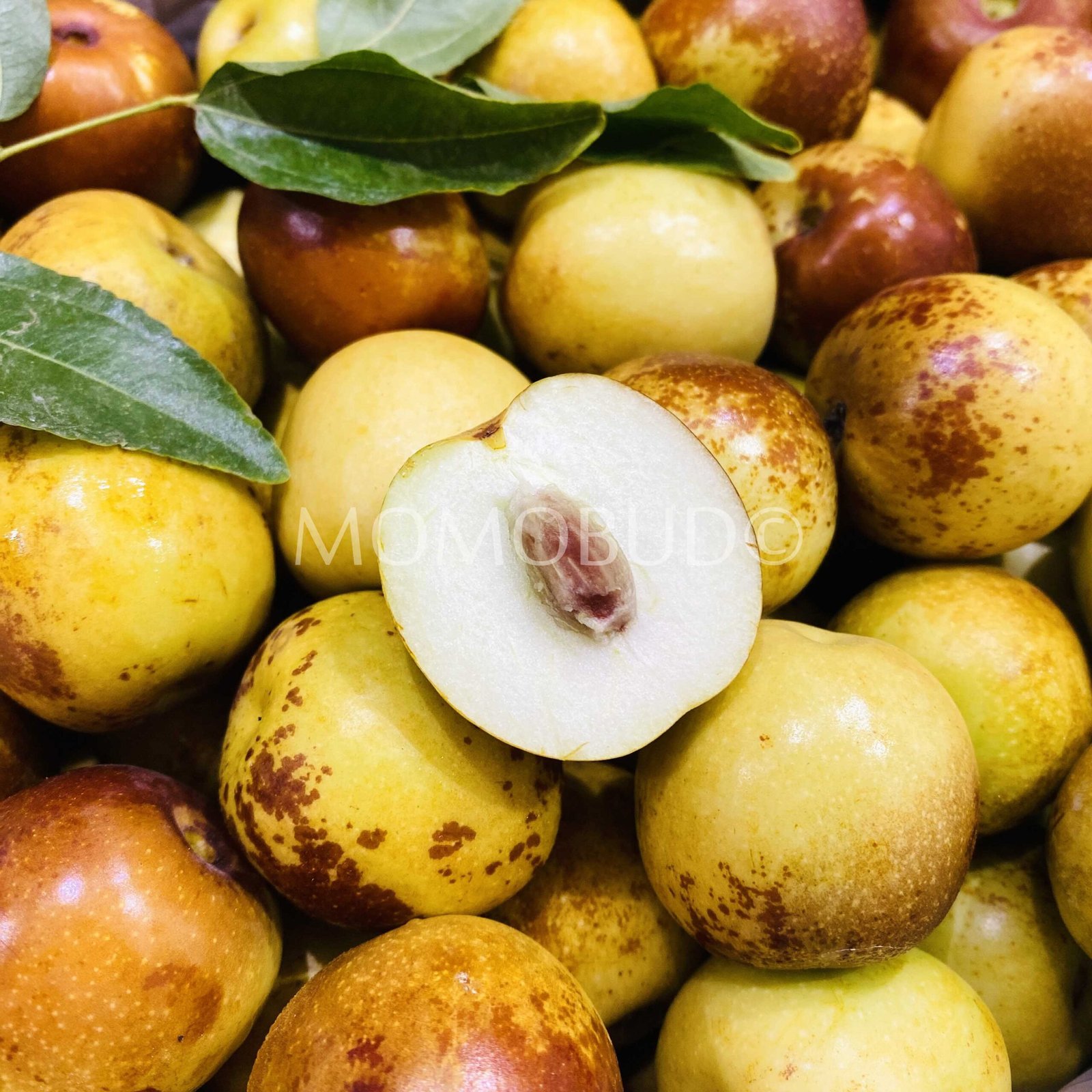 China Bingtang Fresh Jujube (Dates) - Image 4