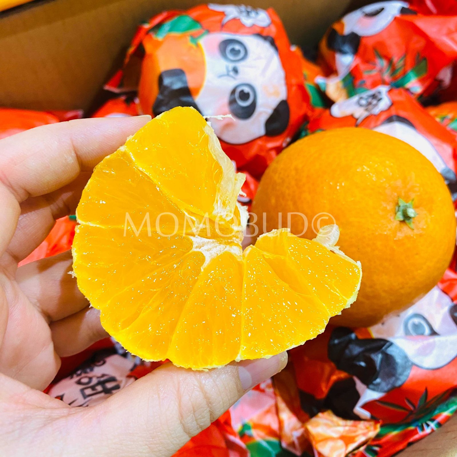 China Chun Jian Mandarin Orange Gift Box (3kg) - Image 4