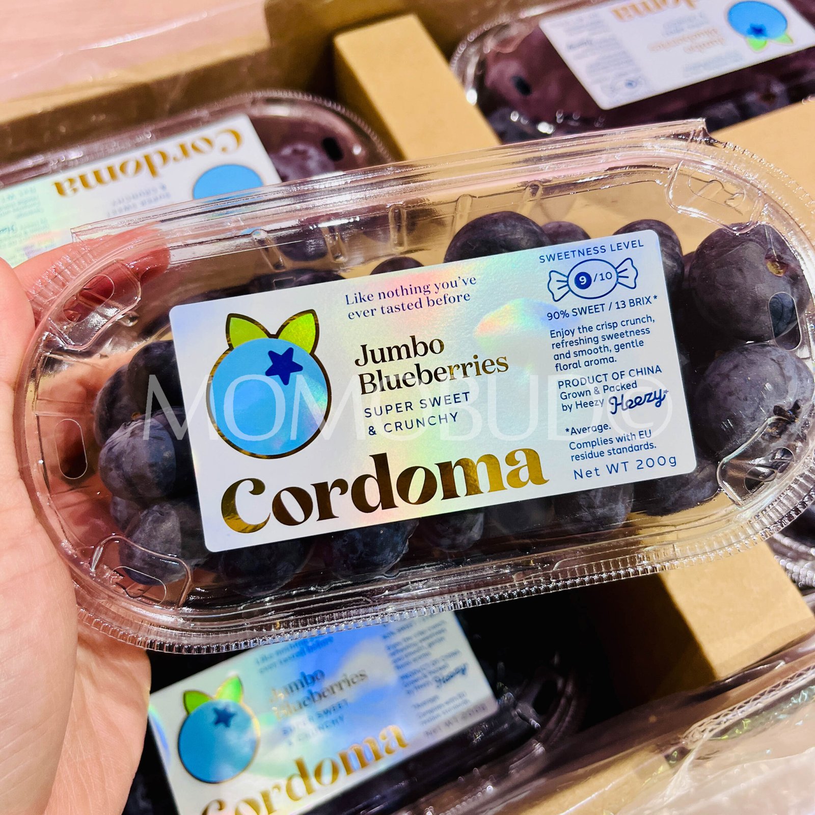 Cordoma Super Jumbo Blueberry (200g punnet) - Image 2
