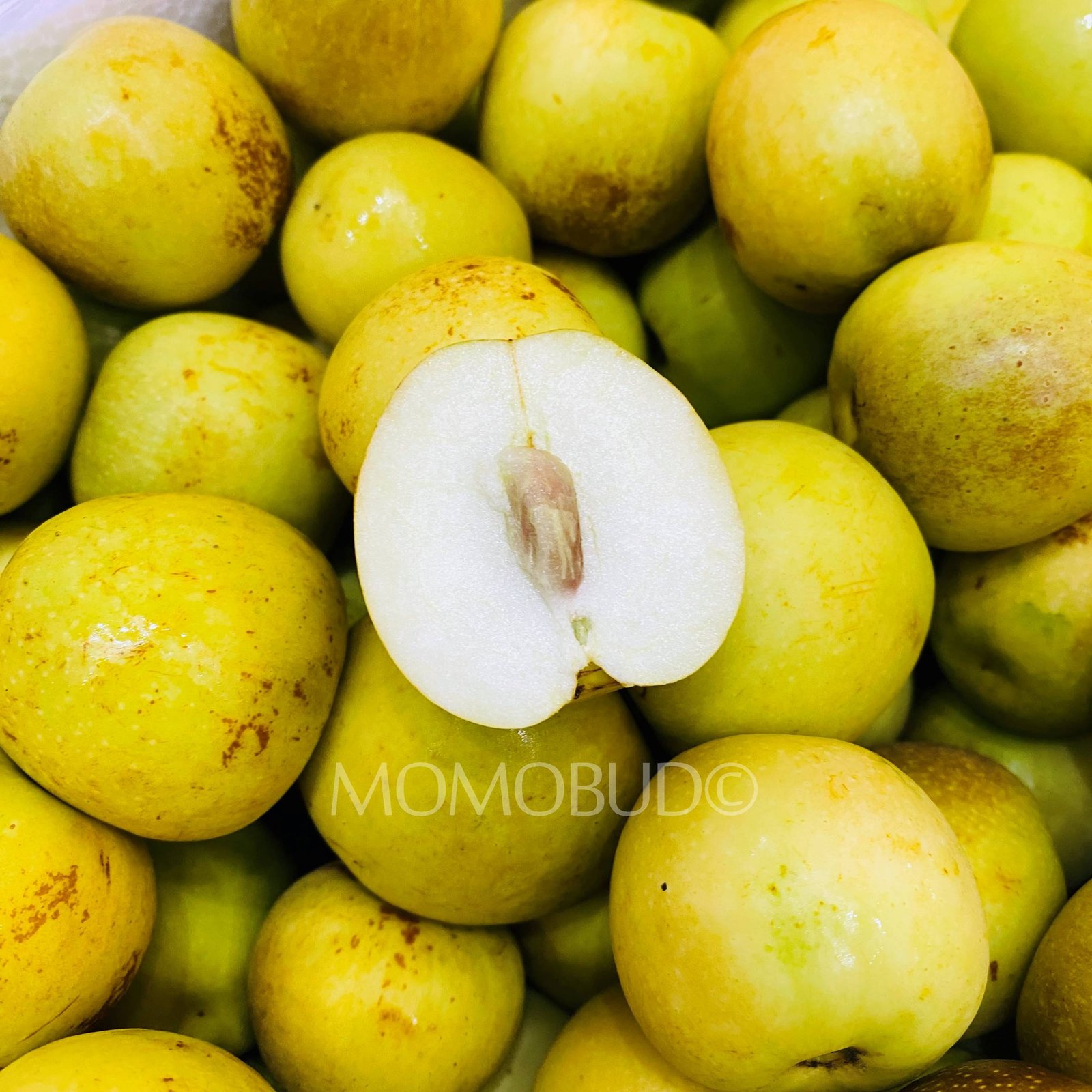 China Sweet Fresh Jujube (Dates) - Image 3