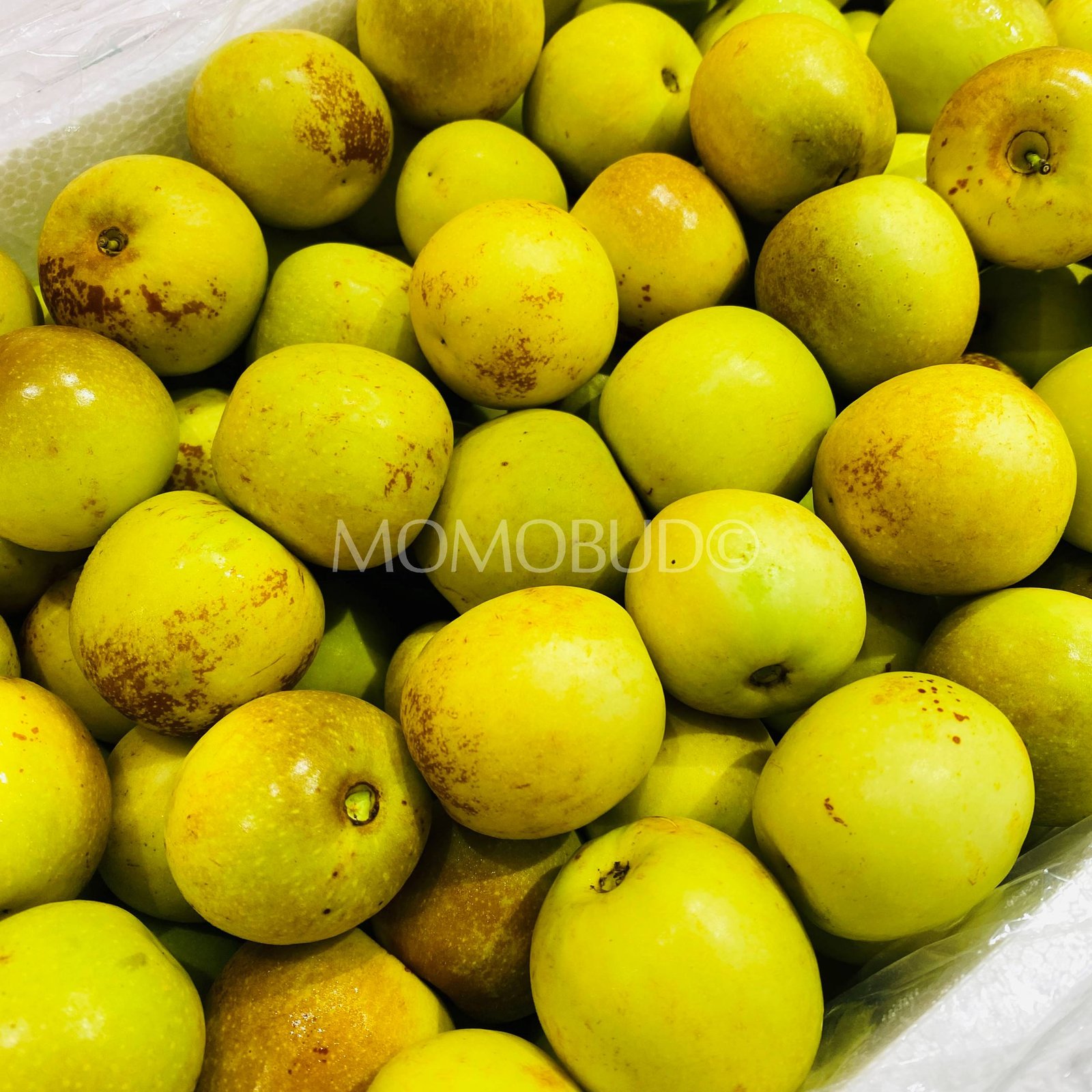 China Sweet Fresh Jujube (Dates) - Image 2
