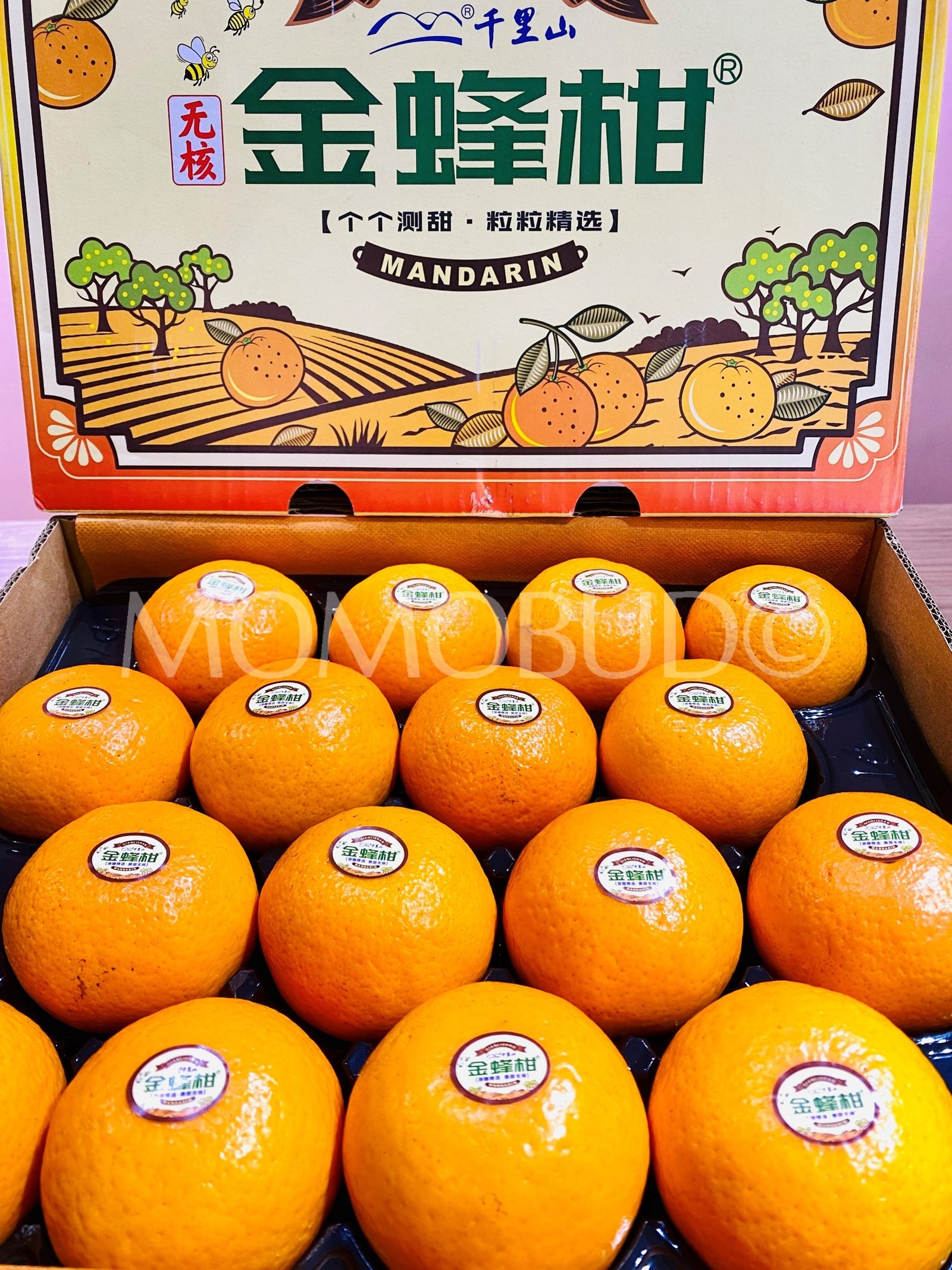China Golden Honey Mandarin Orange - Image 2
