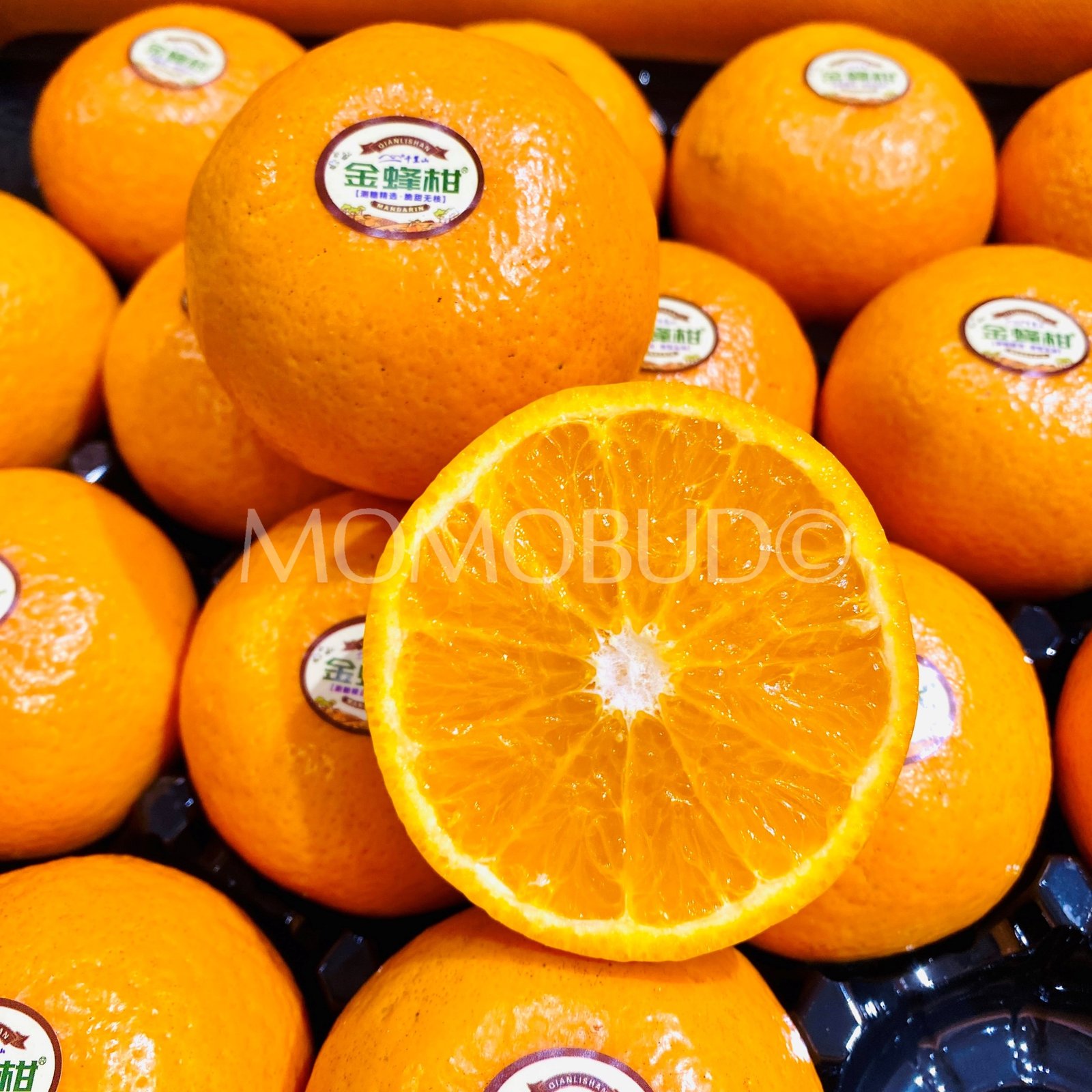 China Golden Honey Mandarin Orange - Image 3