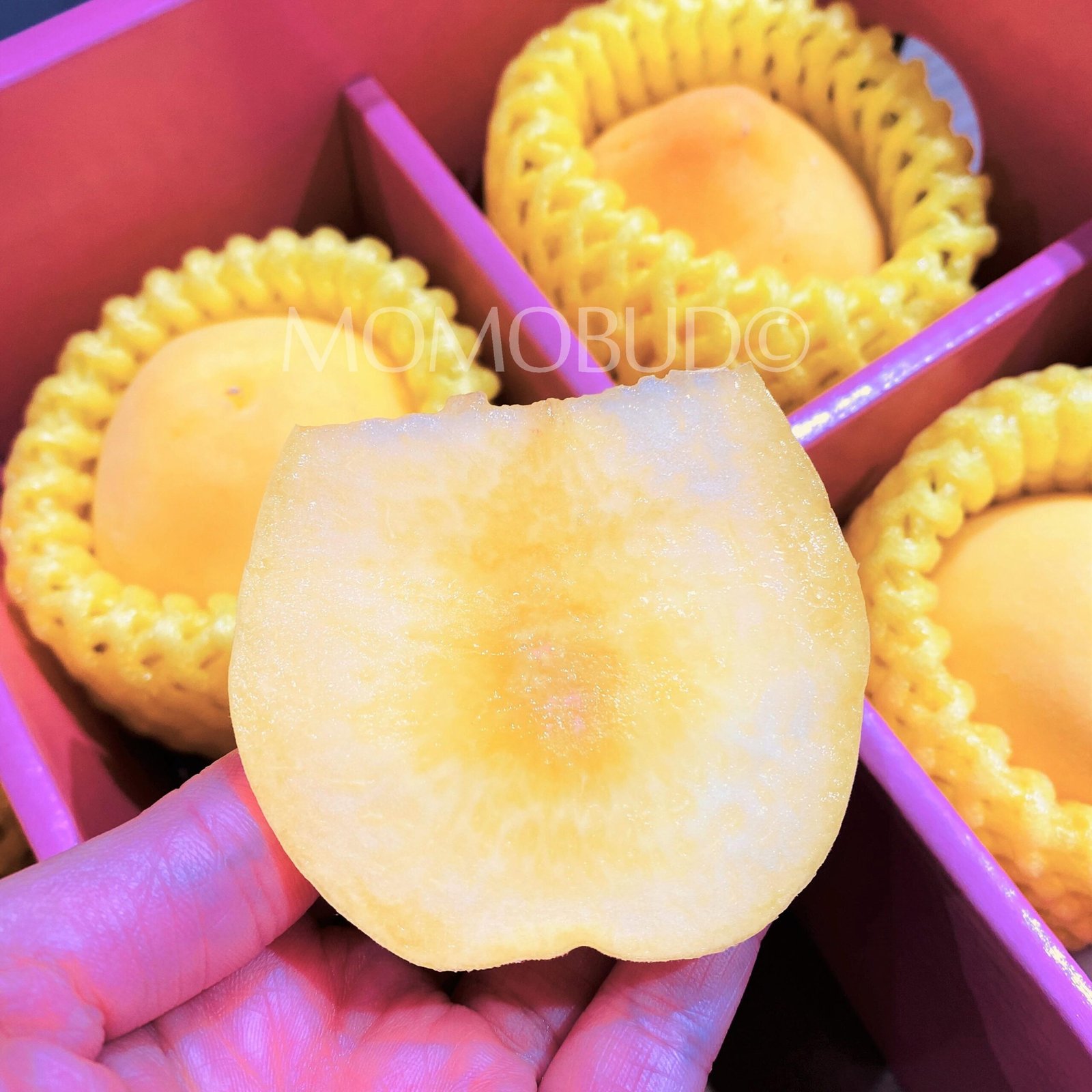 China Honey Water Yellow Peach Gift Box (1kg) - Image 3