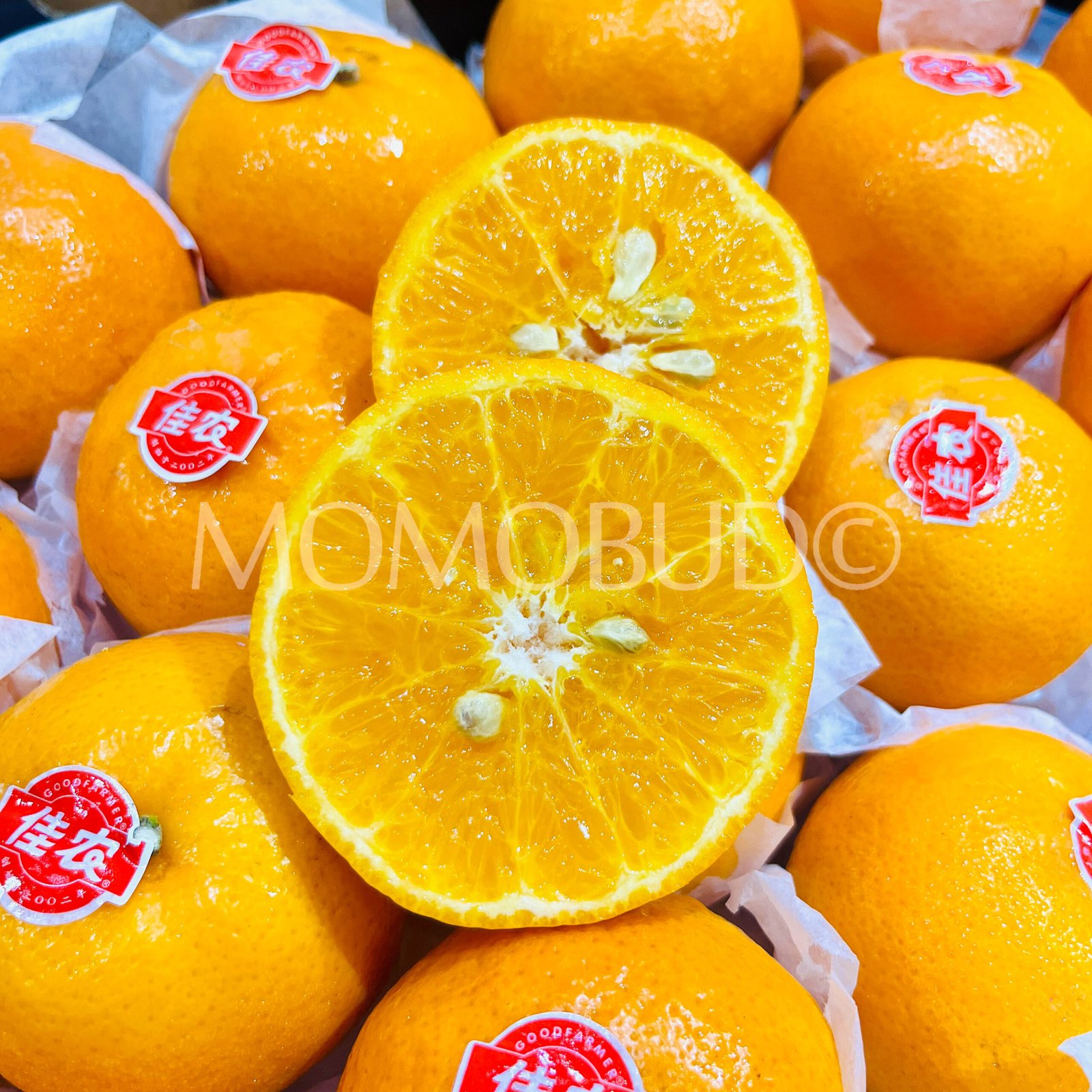 Jia Nong Mandarin Orange (6pcs) - Image 4