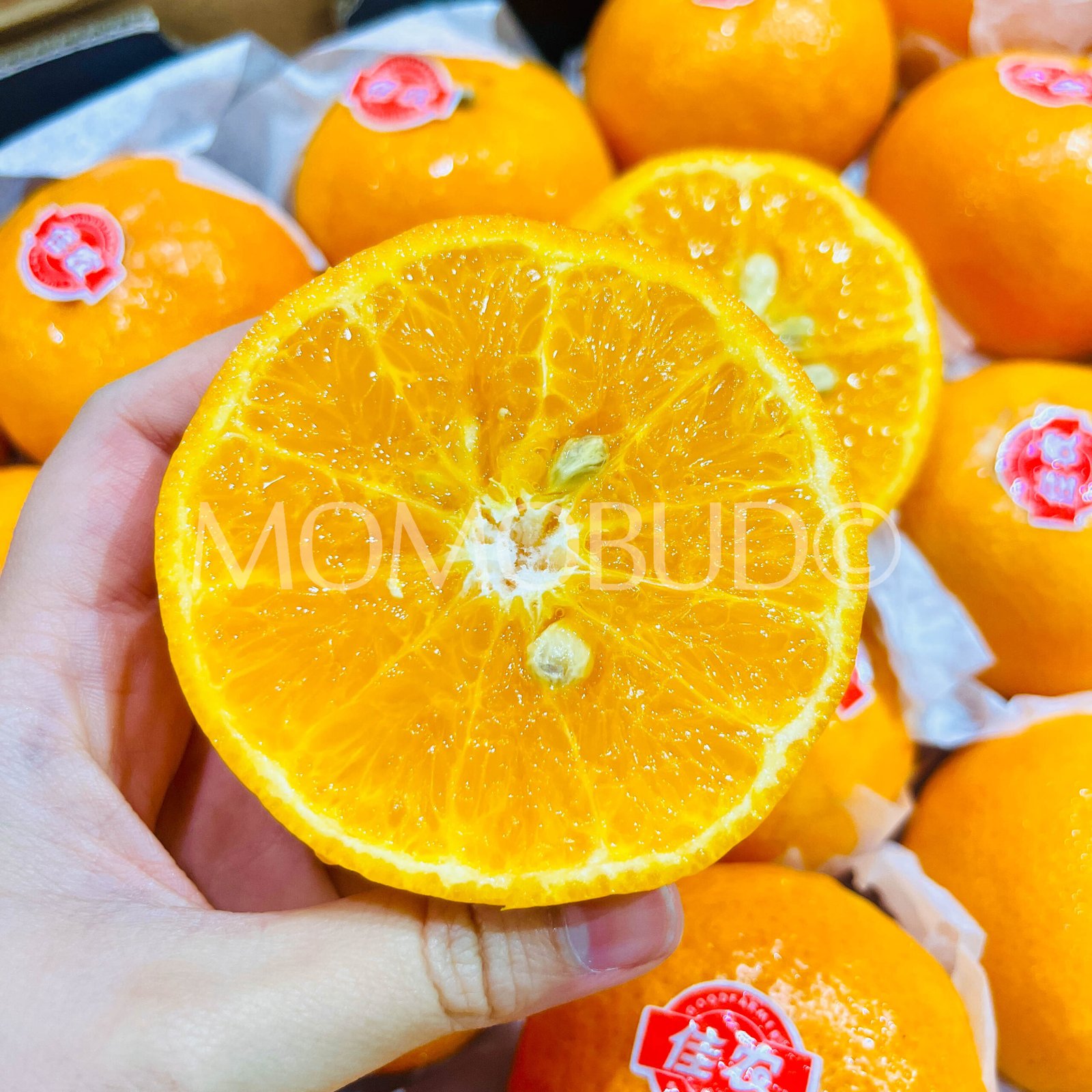 Jia Nong Mandarin Orange (6pcs) - Image 5