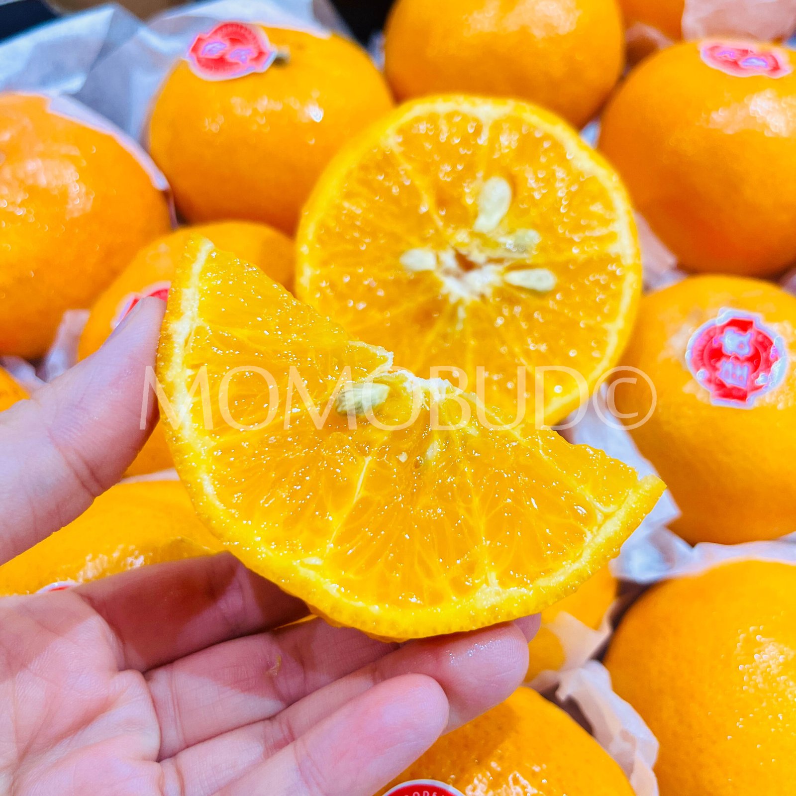Jia Nong Mandarin Orange (6pcs) - Image 6