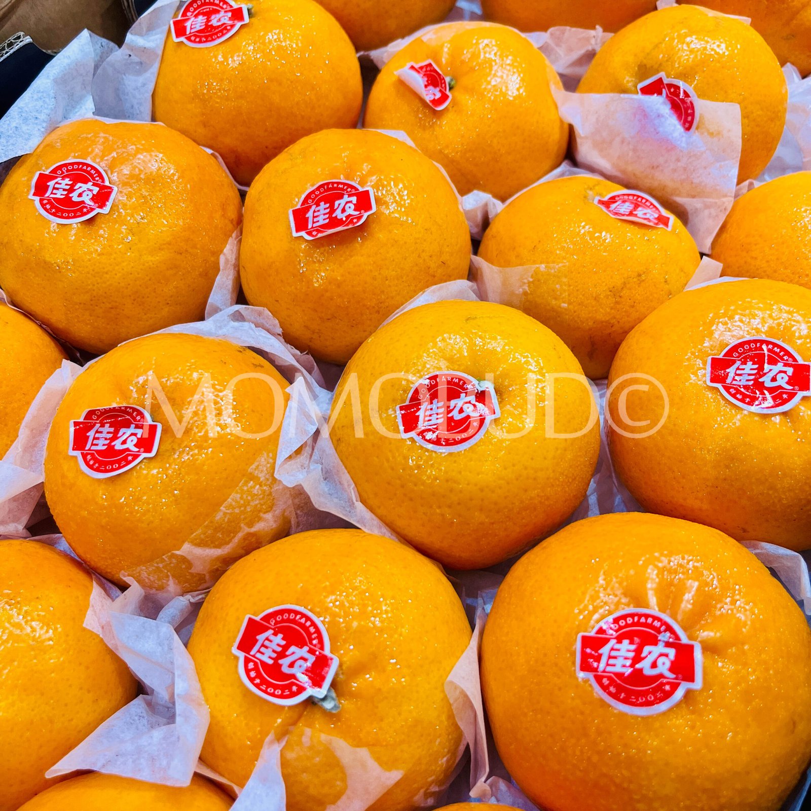 Jia Nong Mandarin Orange (6pcs) - Image 2
