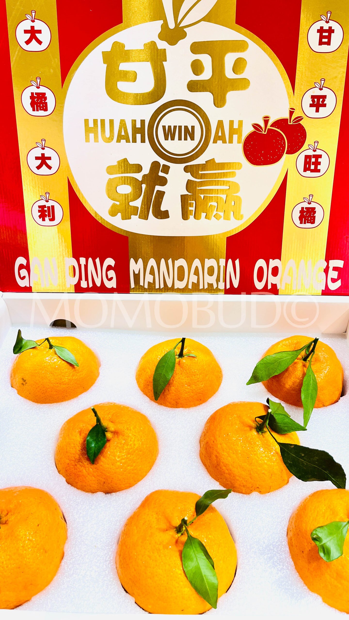 Jumbo Gan Pin Mandarin Orange Gift Box (3kg approx) - Image 2