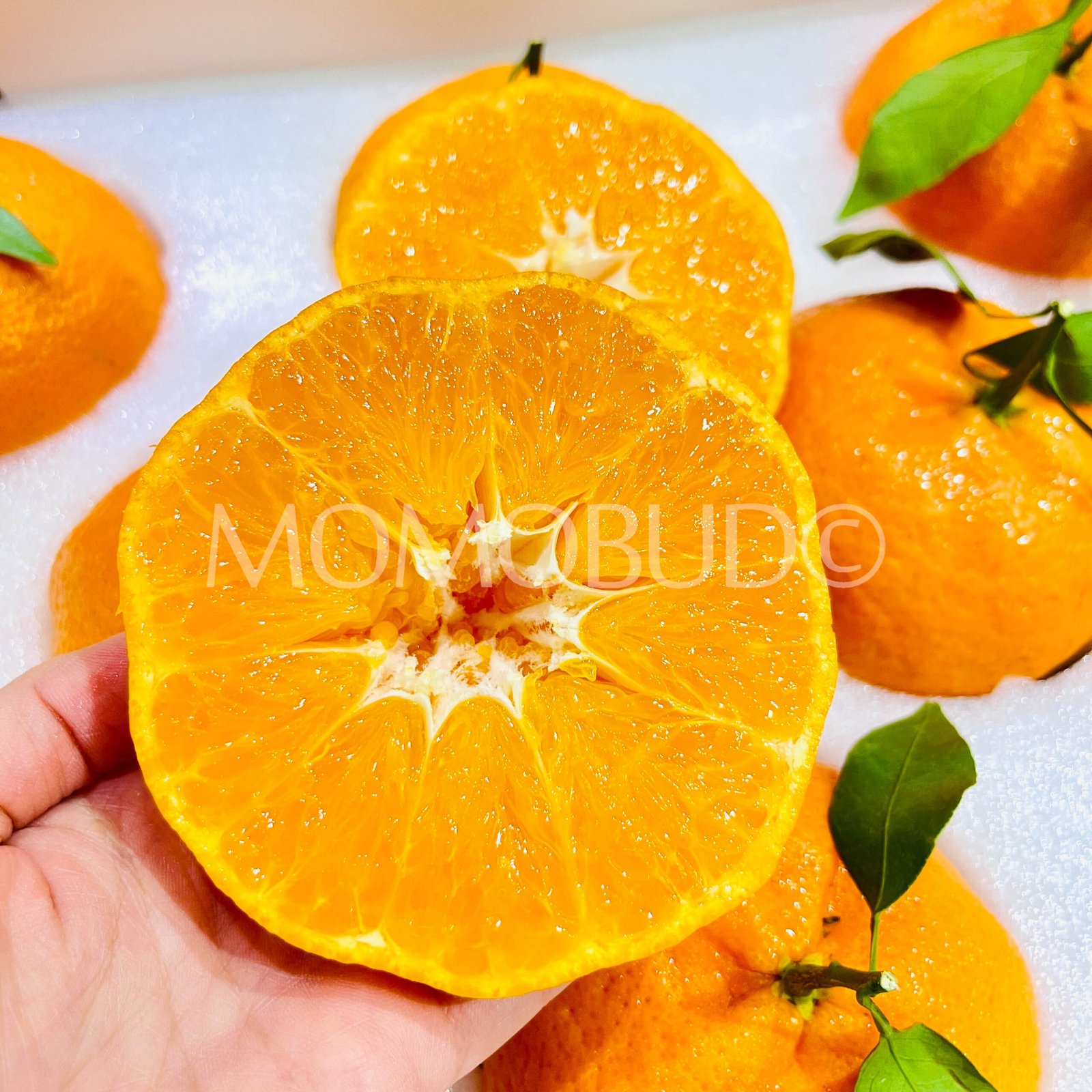 Jumbo Gan Pin Mandarin Orange Gift Box (3kg approx) - Image 5