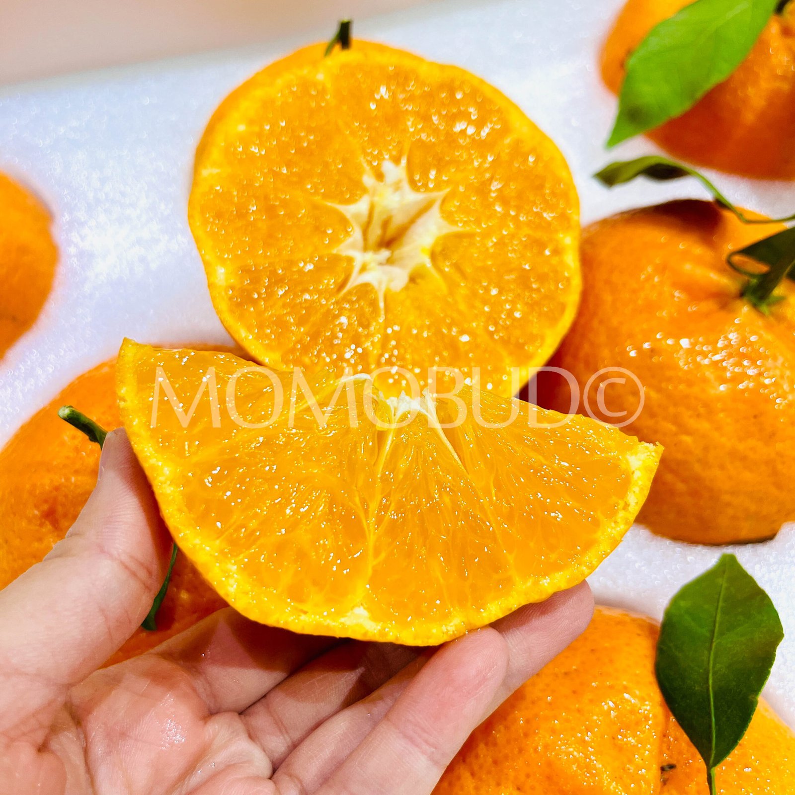 Jumbo Gan Pin Mandarin Orange Gift Box (3kg approx) - Image 6