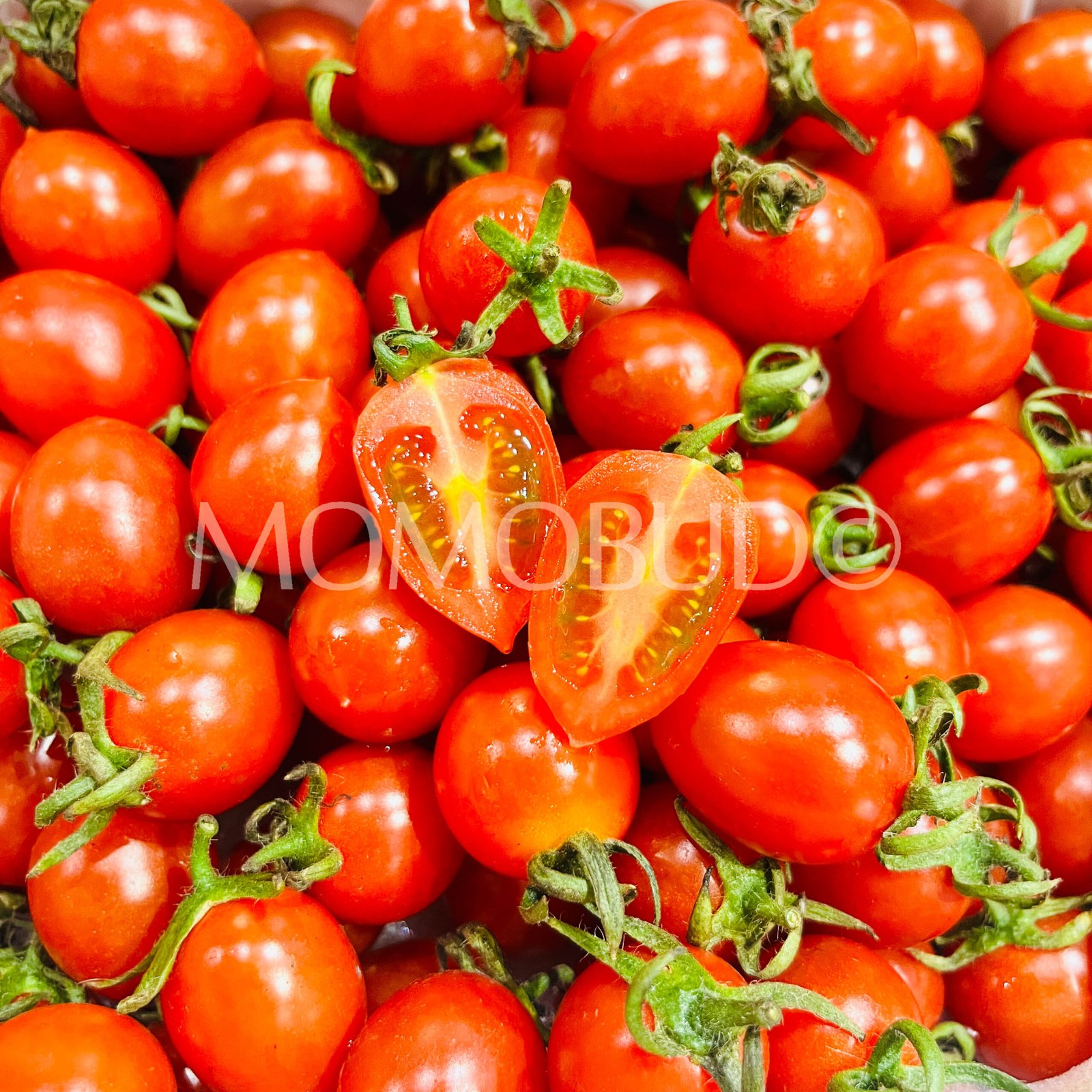 China Ling Long Cherry Tomato Gift Box (1kg) - Image 5