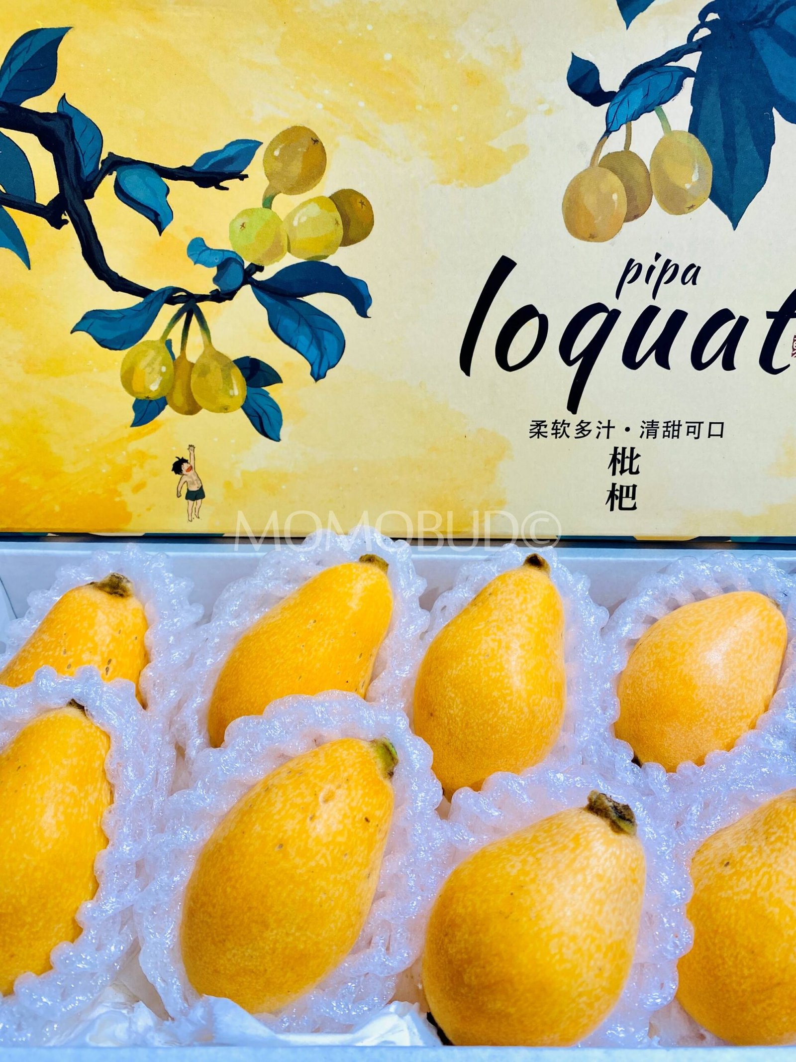 China Loquat Gift Box - Image 2