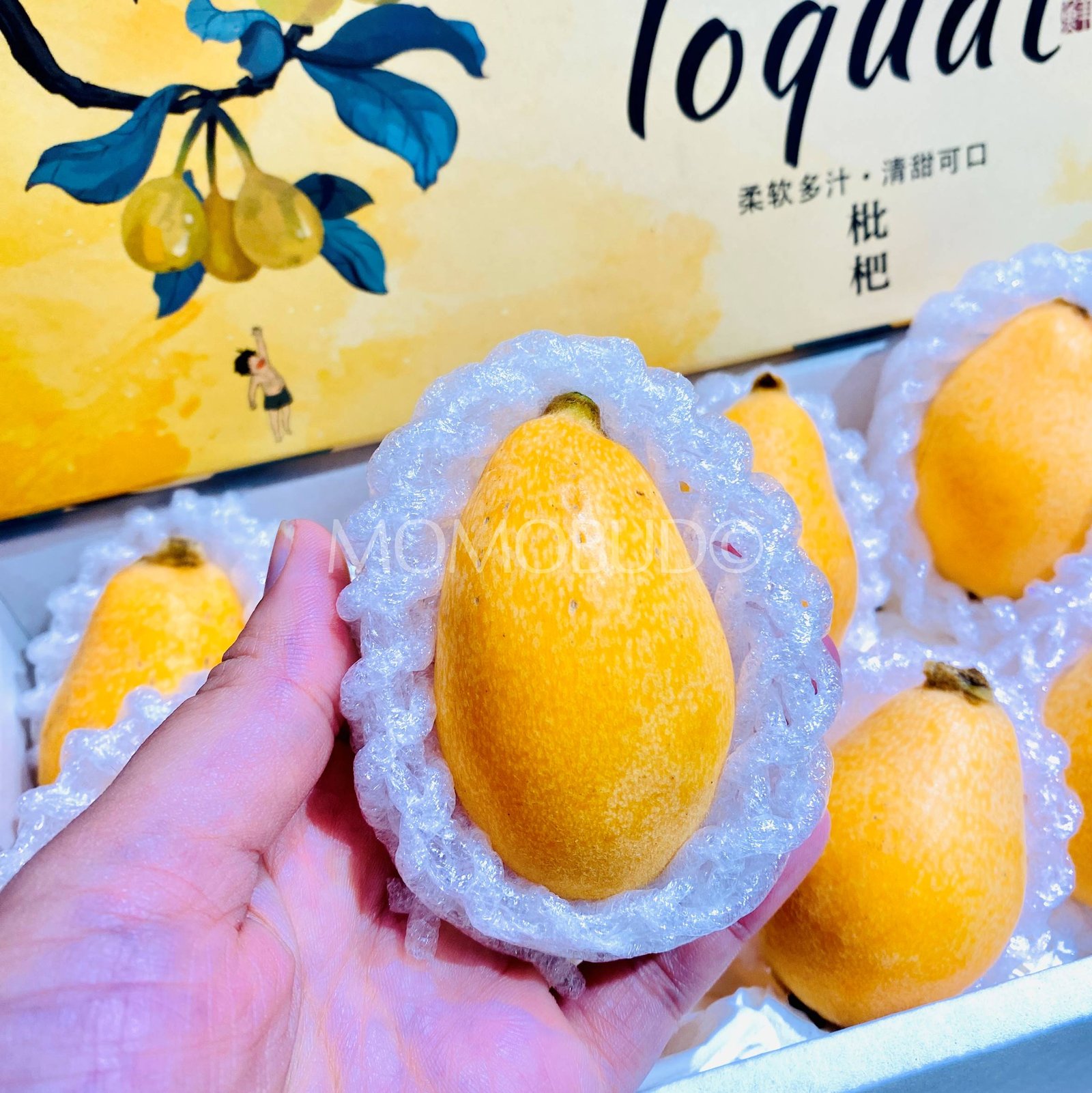 China Loquat Gift Box - Image 4