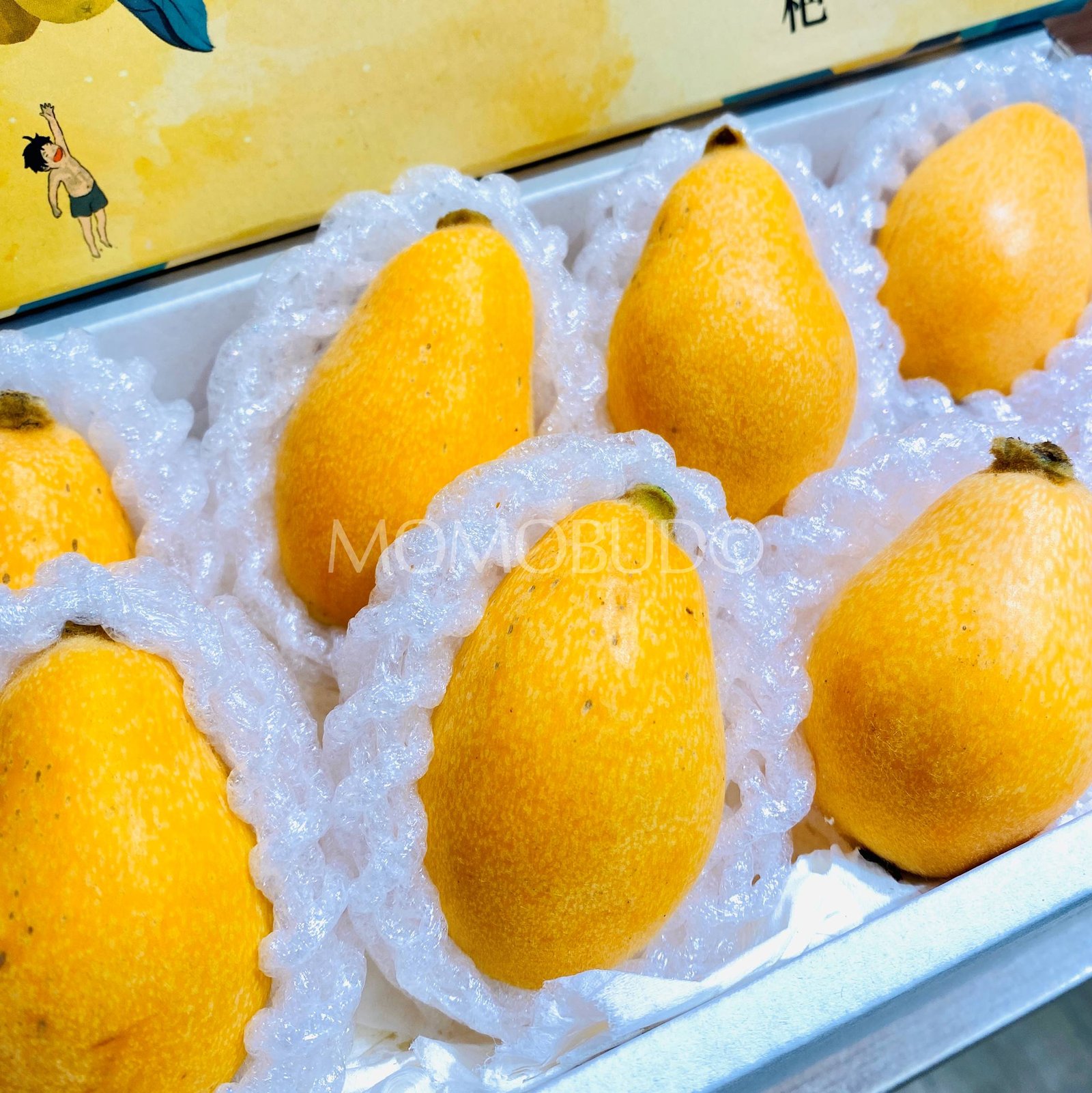 China Loquat Gift Box - Image 3