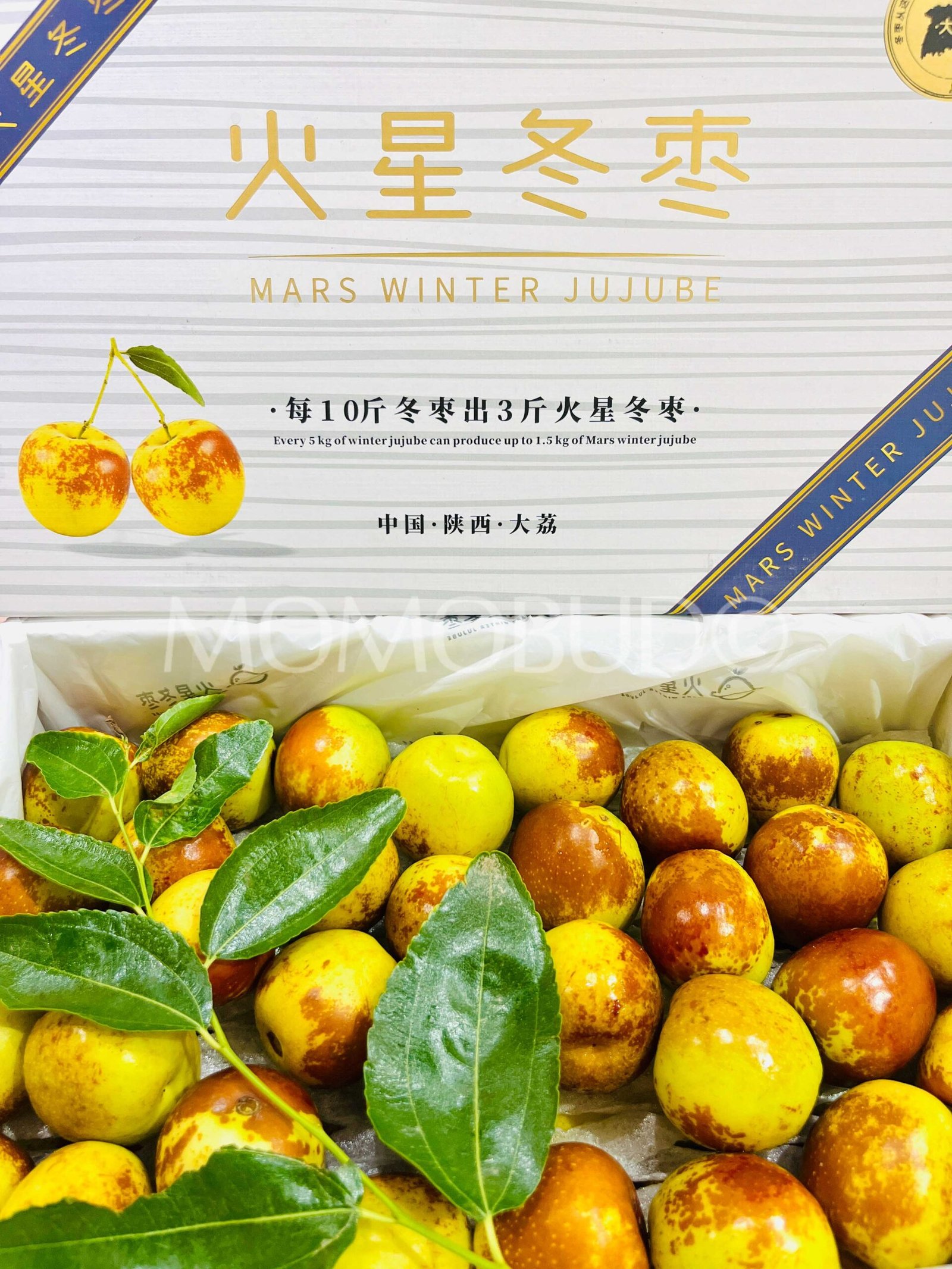 China Mars Winter Jujube (Fresh Dates) Gift Box (1.2kg) - Image 2