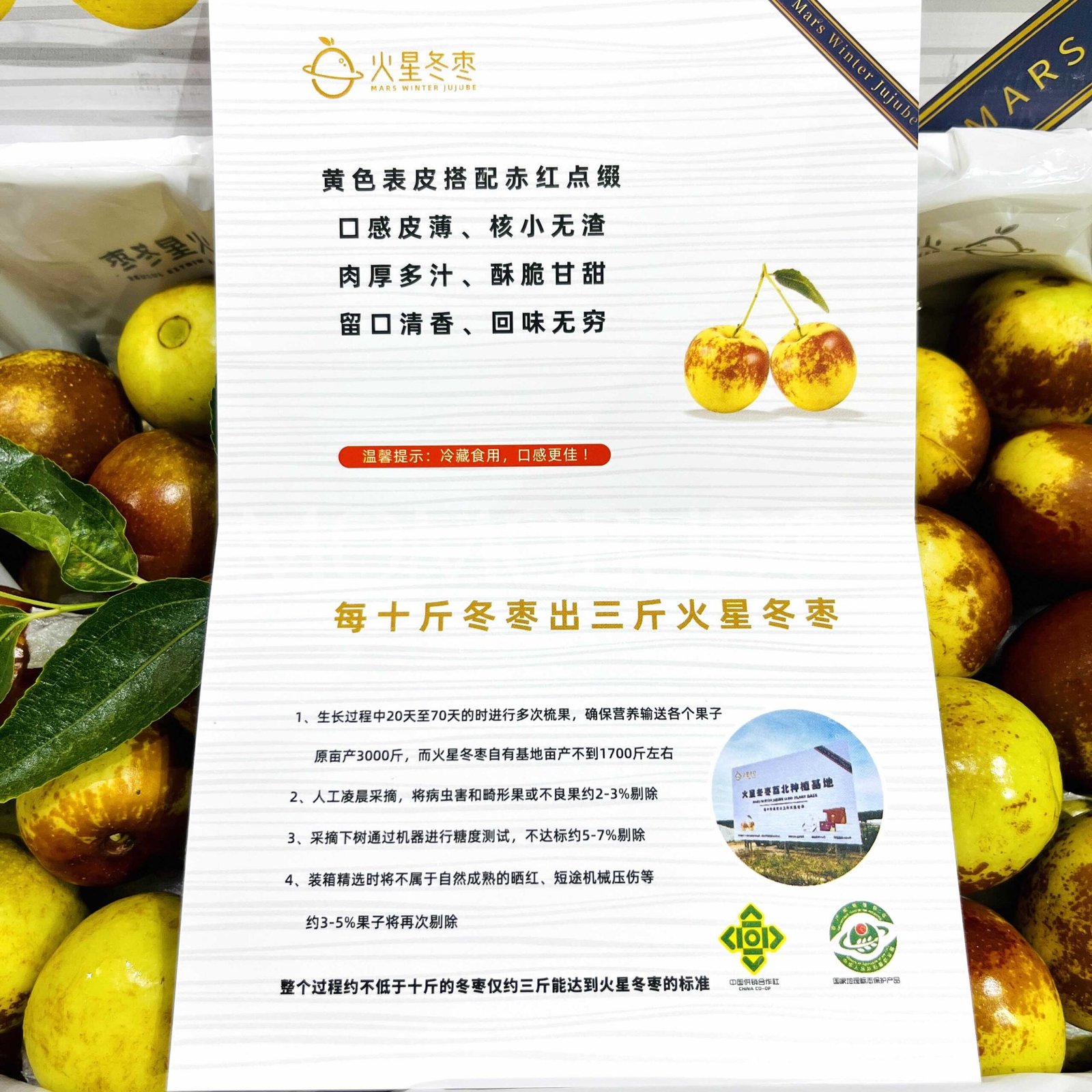 China Mars Winter Jujube (Fresh Dates) Gift Box (1.2kg) - Image 6