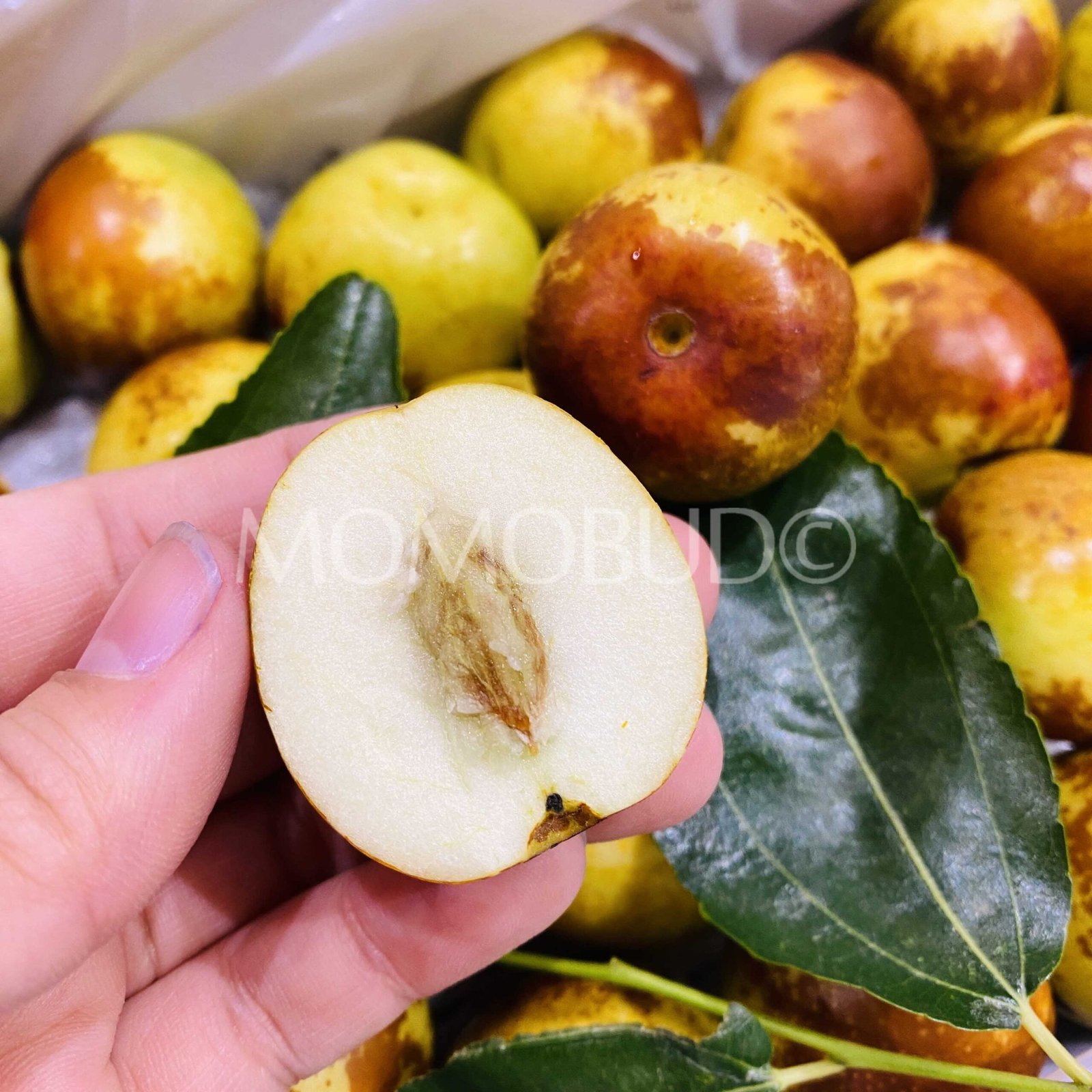 China Mars Winter Jujube (Fresh Dates) Gift Box (1.2kg) - Image 5