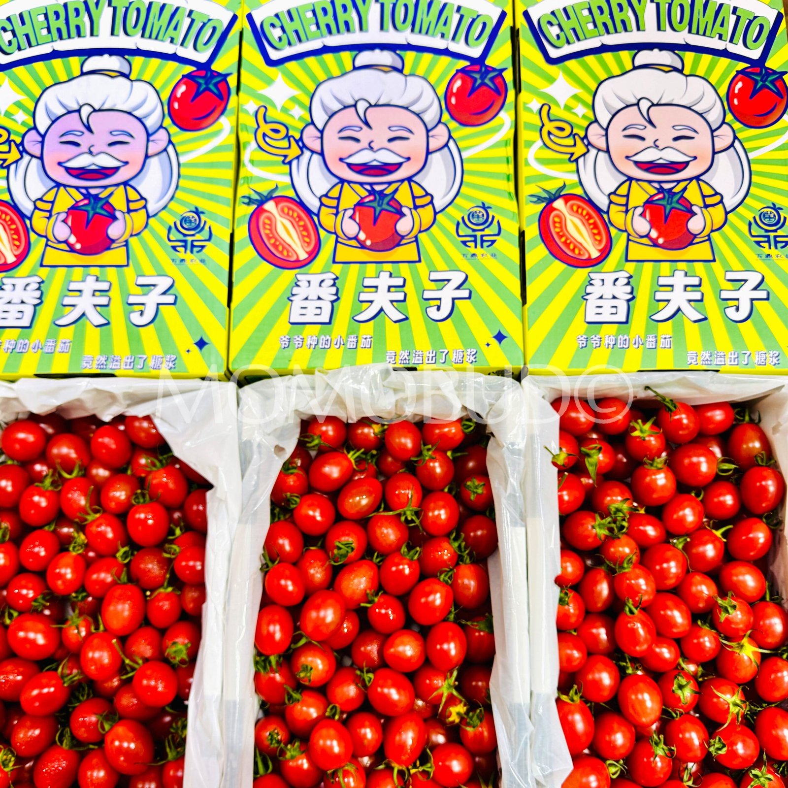 Mr Grandpa's Cherry Tomato Gift Box (1kg) - Image 3