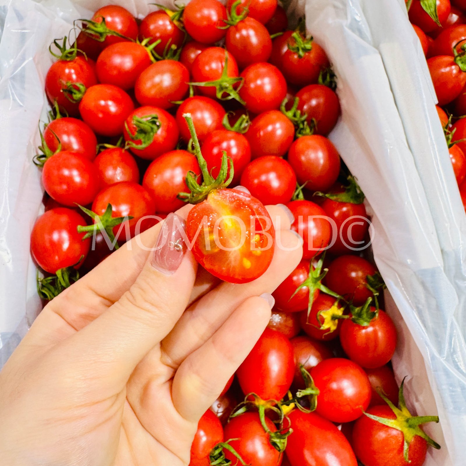 Mr Grandpa's Cherry Tomato Gift Box (1kg) - Image 6