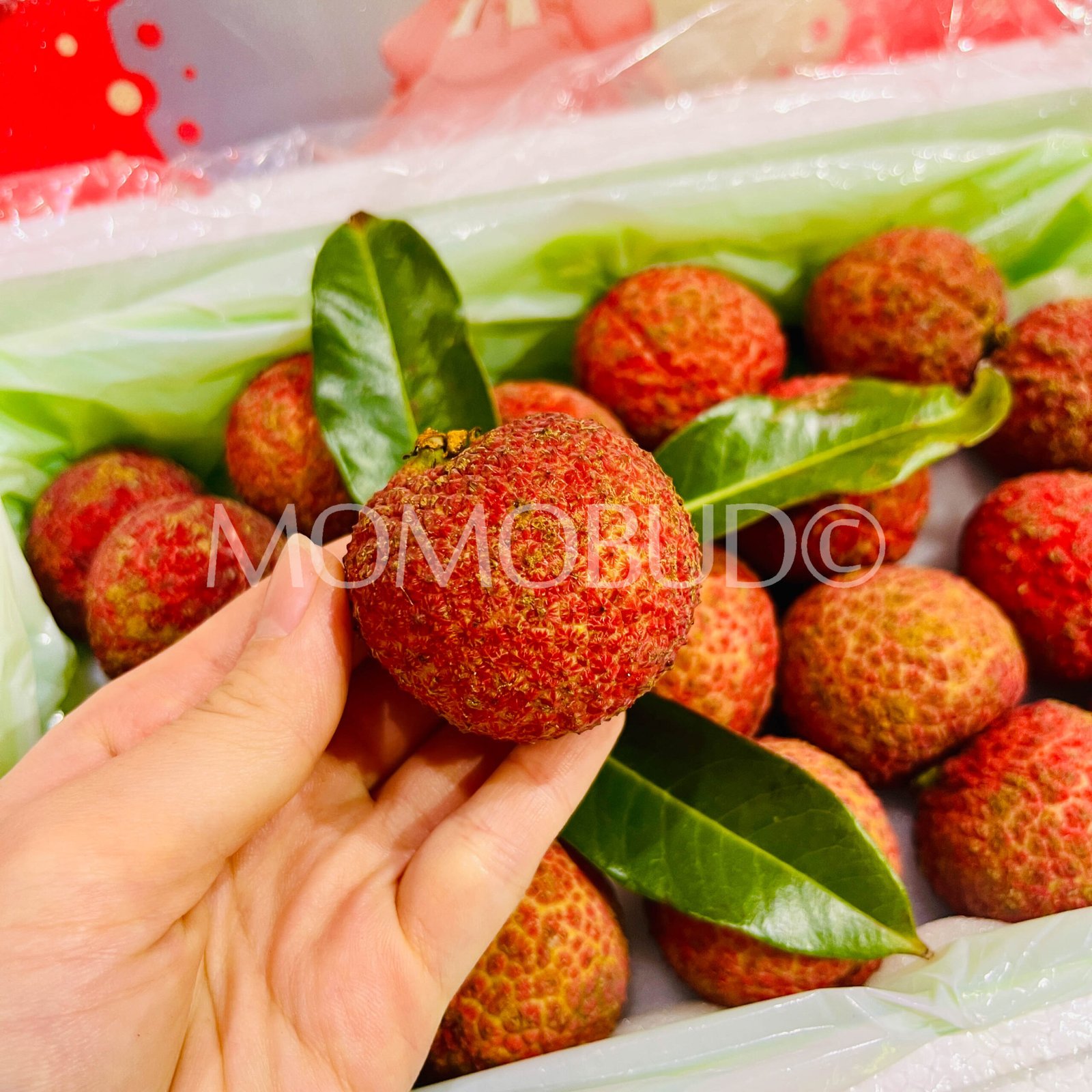 China Pink Doll Hainan Seedless Lychee Box (1.25kg approx) - Image 3