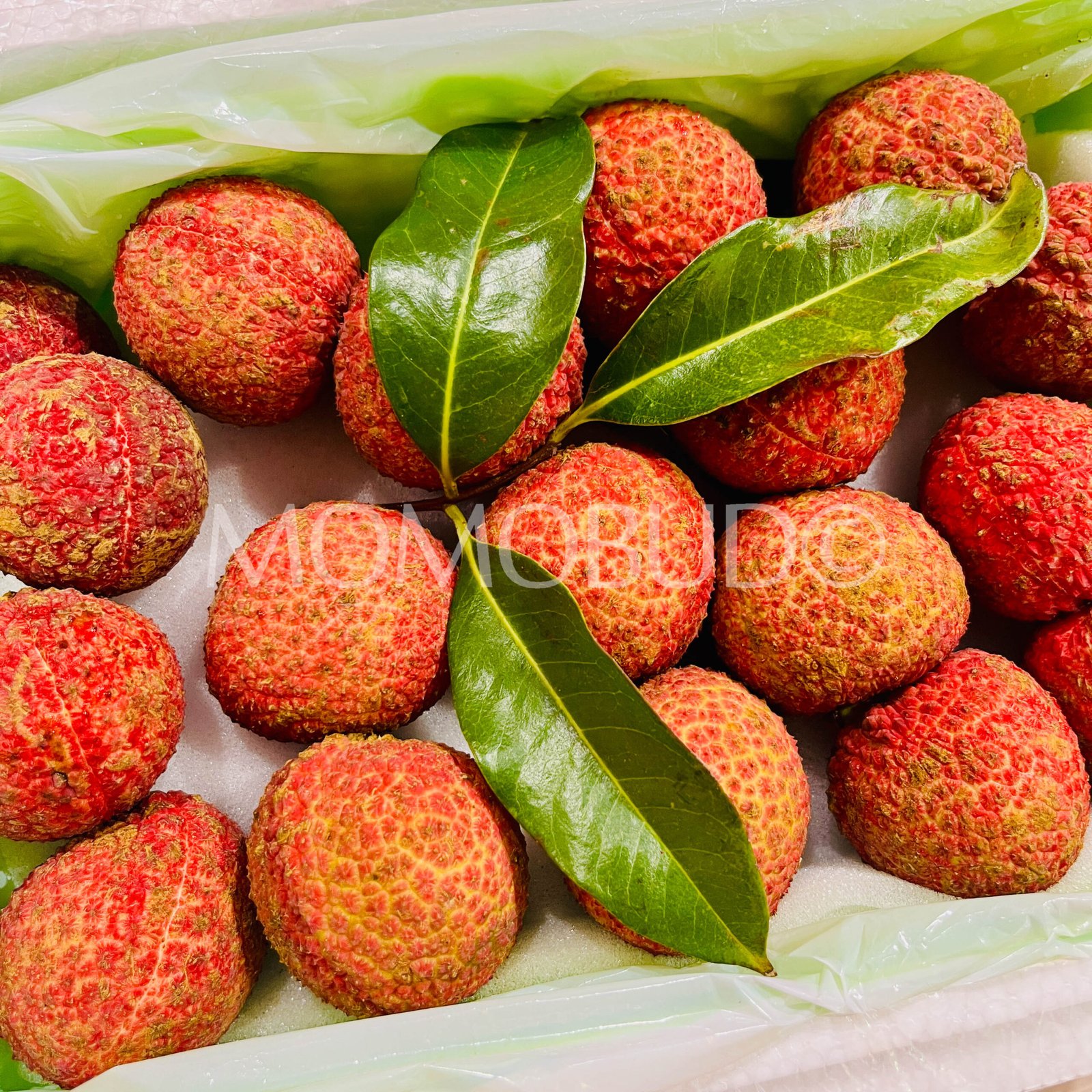 China Pink Doll Hainan Seedless Lychee Box (1.25kg approx) - Image 2