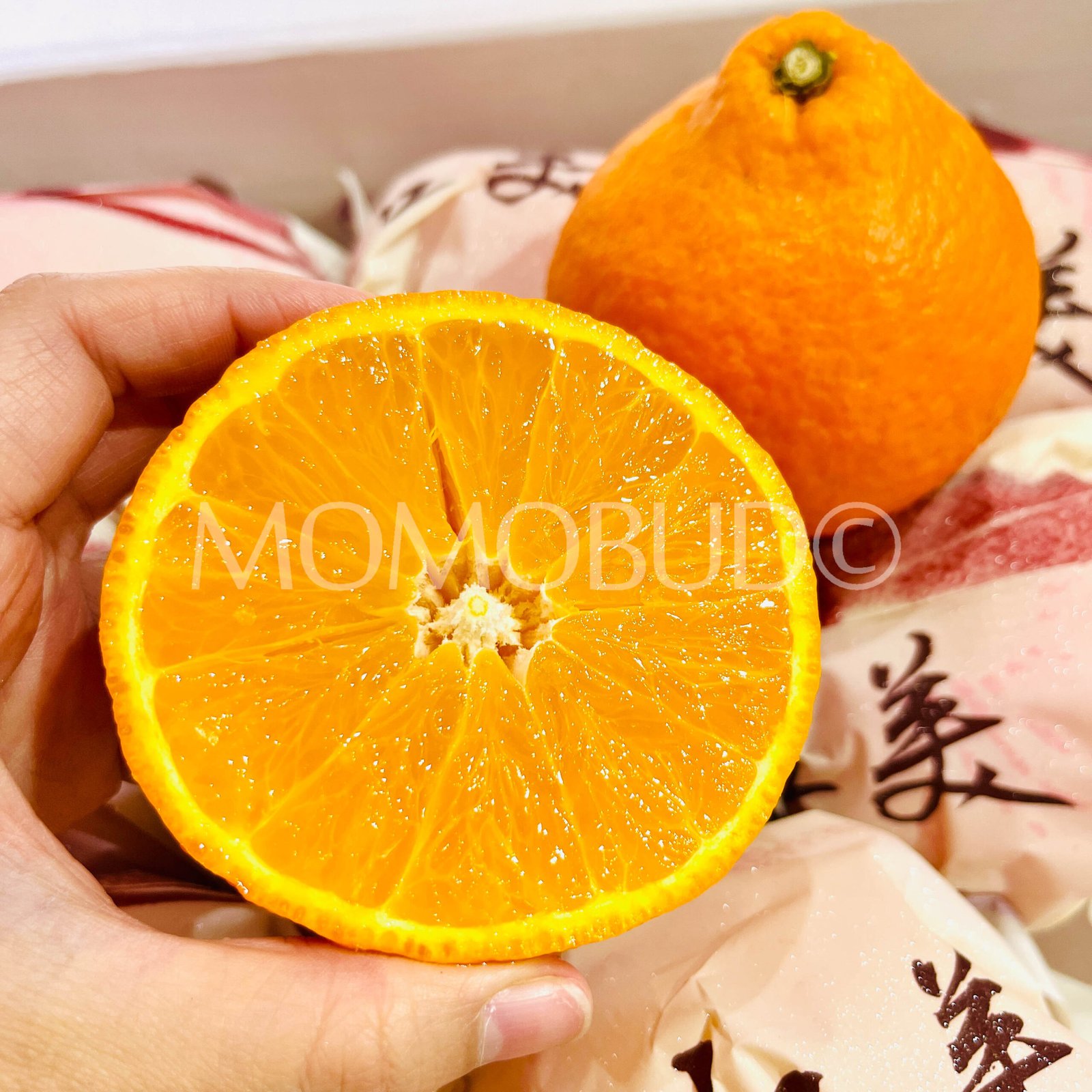 Red Beauty (Hong Mei Ren) Orange (Medium-Plus) - Image 6