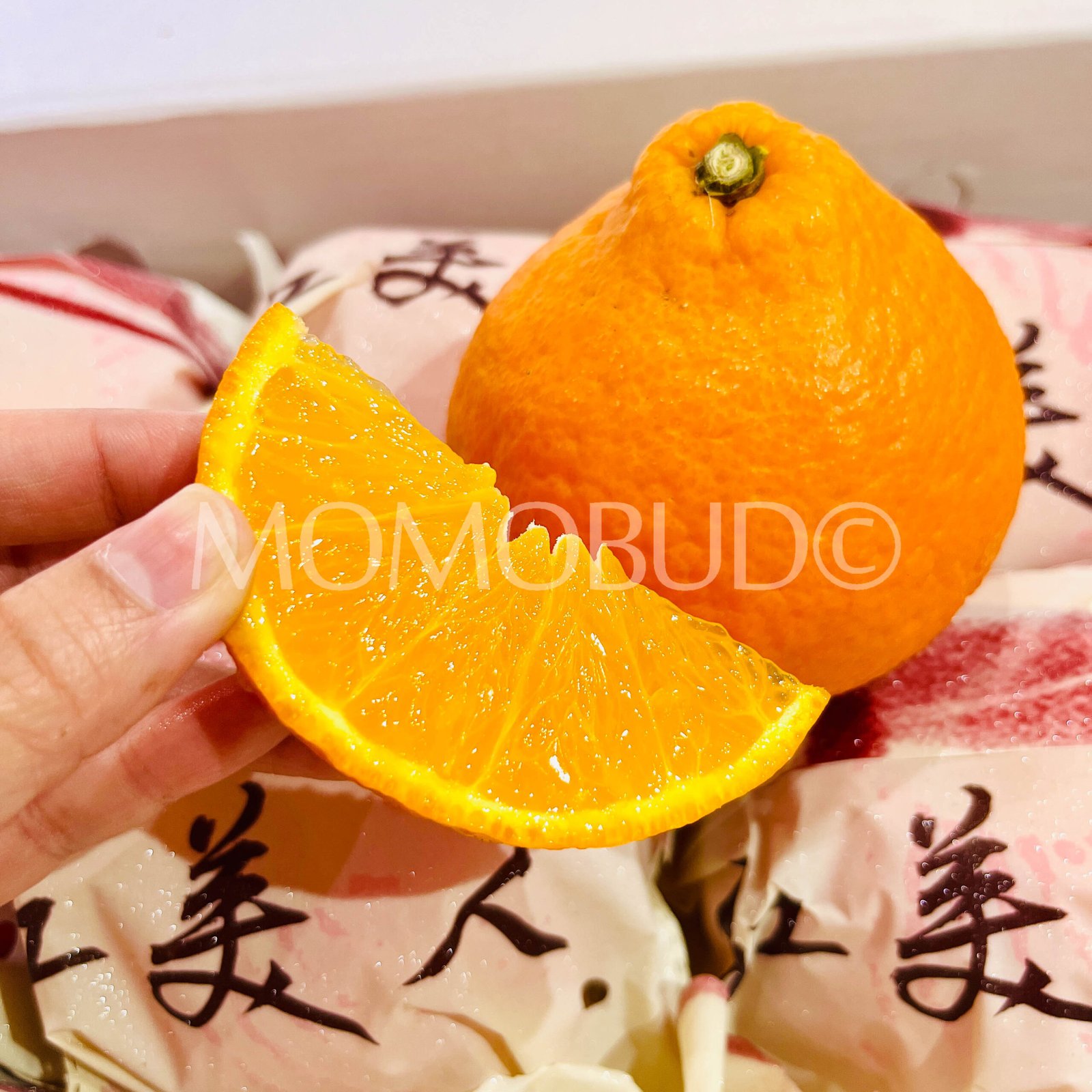 Red Beauty (Hong Mei Ren) Orange (Medium-Plus) - Image 7