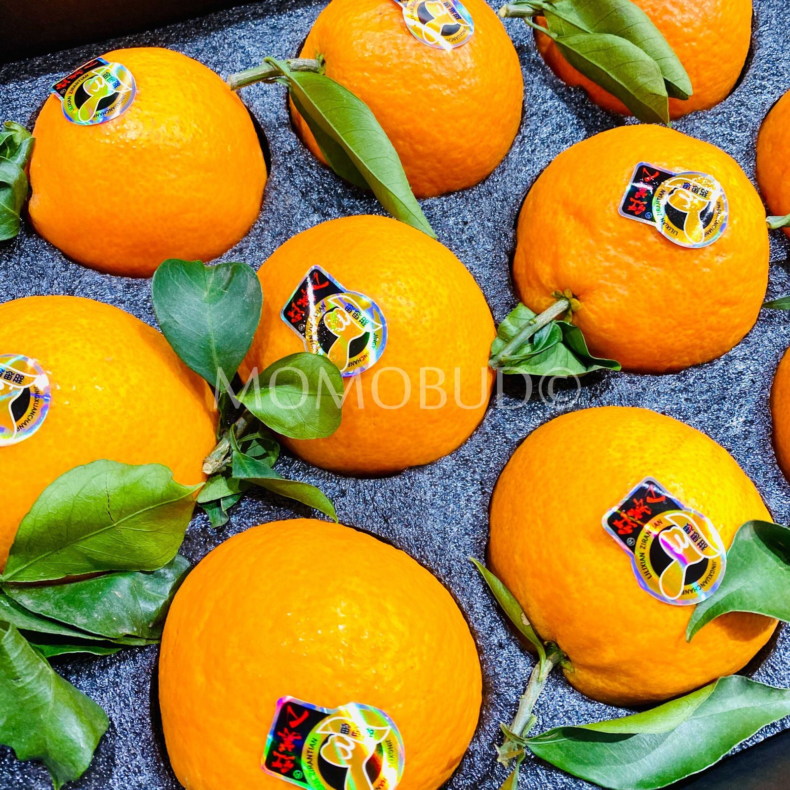 Premium Red Beauty (Hong Mei Ren) Orange Black Gift Box - Image 3