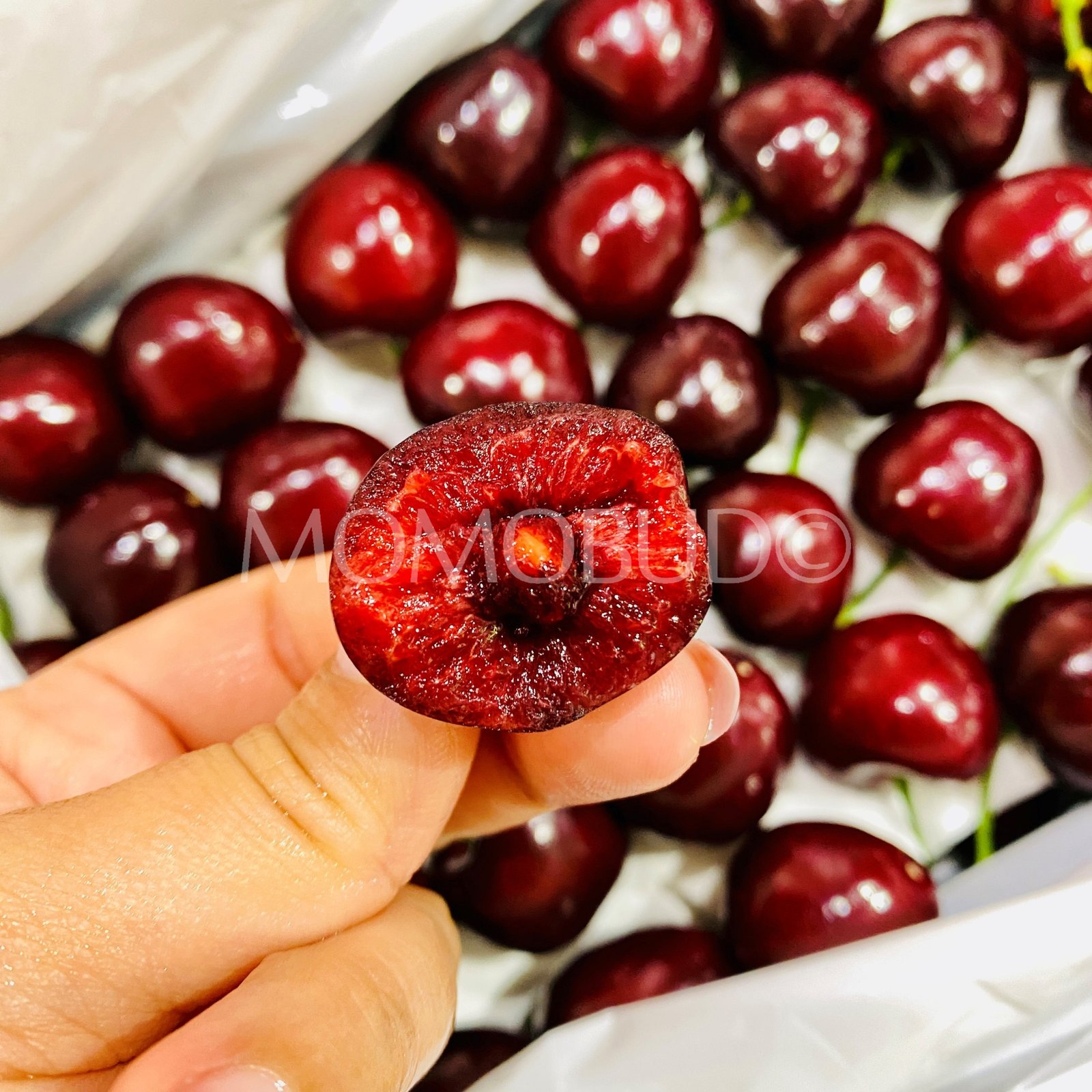 China Sweet Red Cherry Gift Box (900g) - Image 4