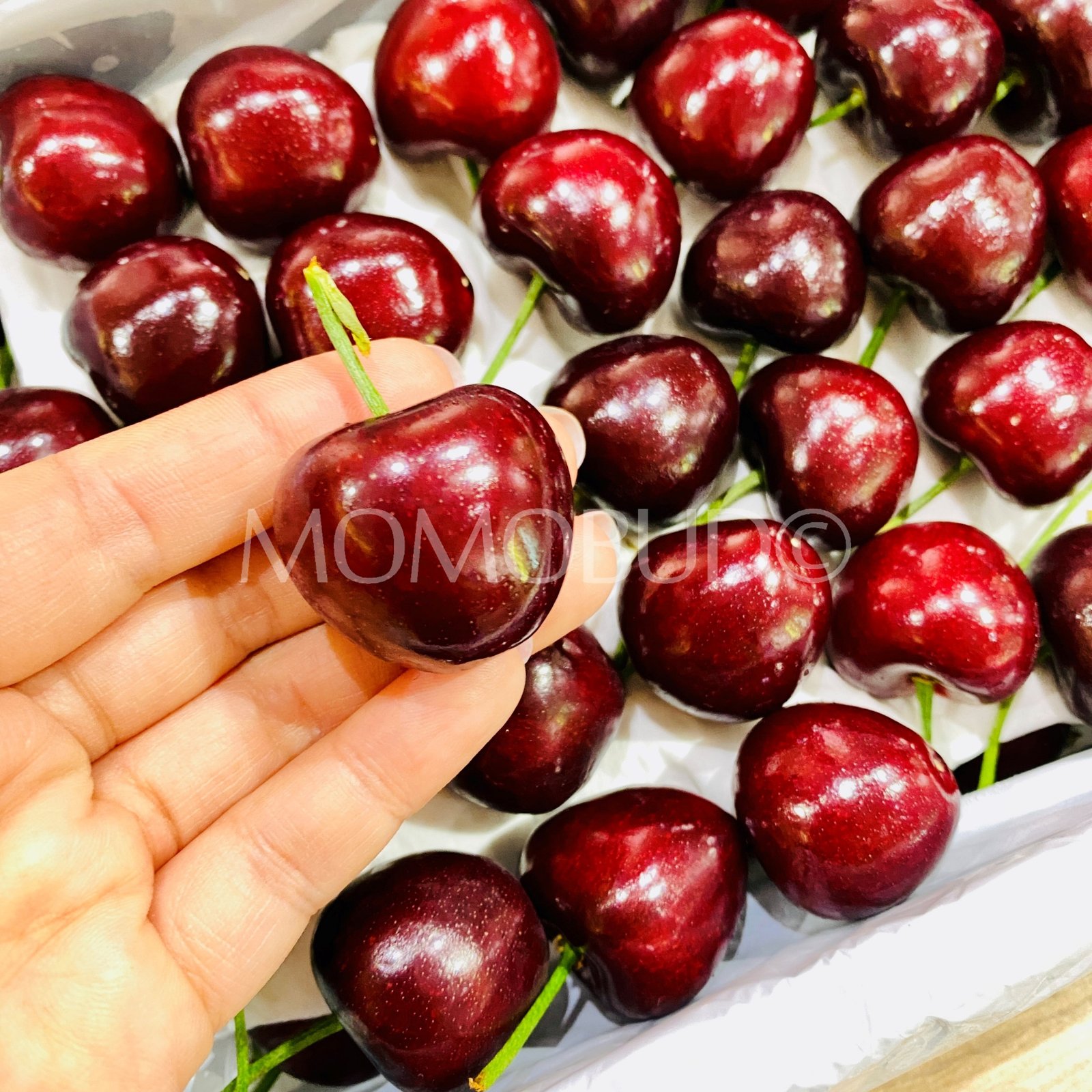 China Sweet Red Cherry Gift Box (900g) - Image 3