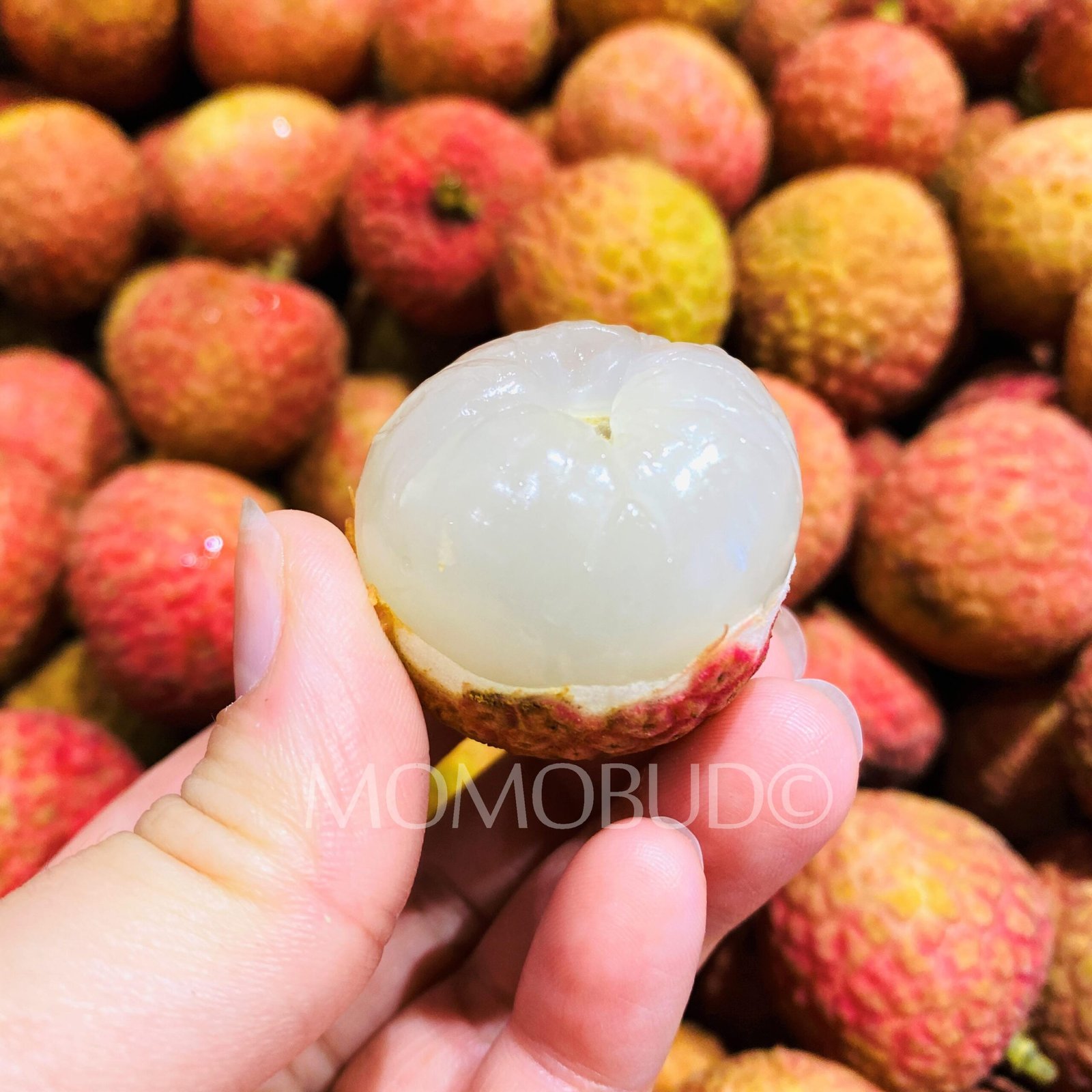 Airflown China Red (Zhong Hua Hong) Lychee (1kg) - Image 2