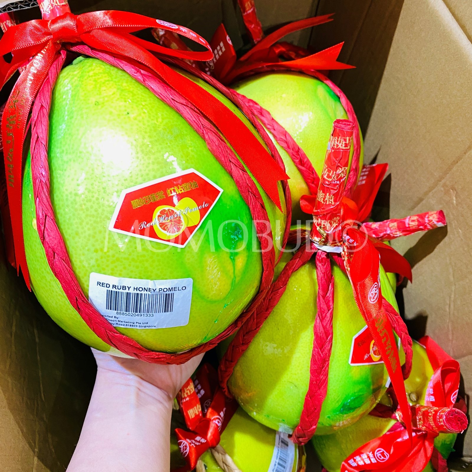 China Red Heart Pomelo - Image 2