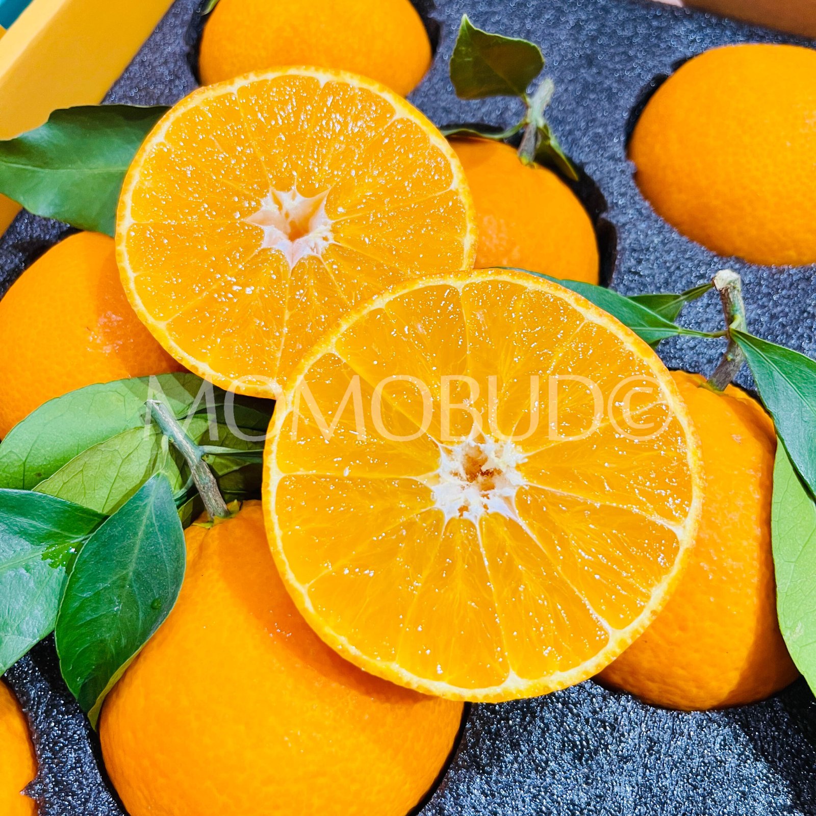 China Saga Hamasaki Mandarin (Jelly Orange) Gift Box (2.25kg approx) - Image 4