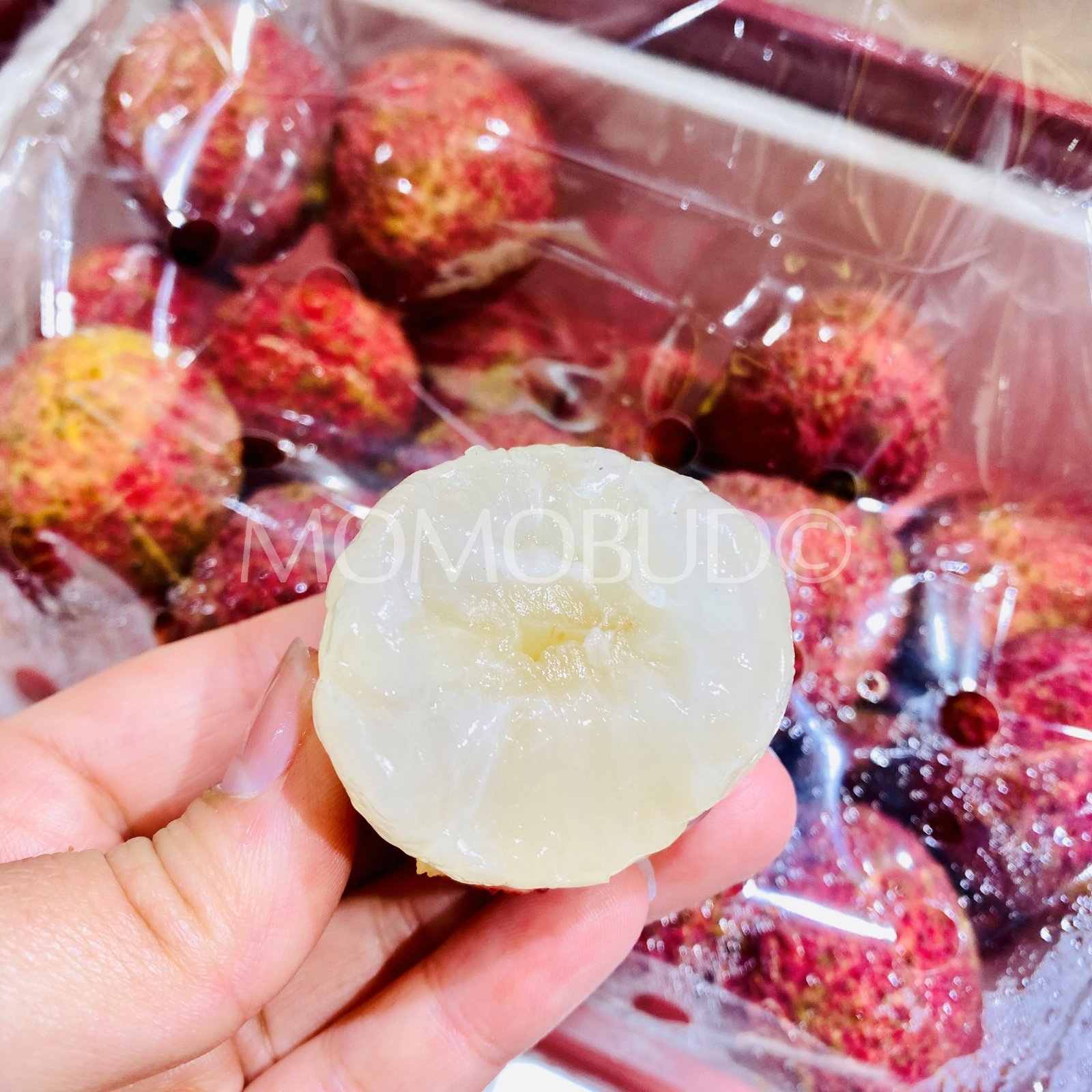 Air-flown Seedless Lychee Gift Box (1kg) - Image 4