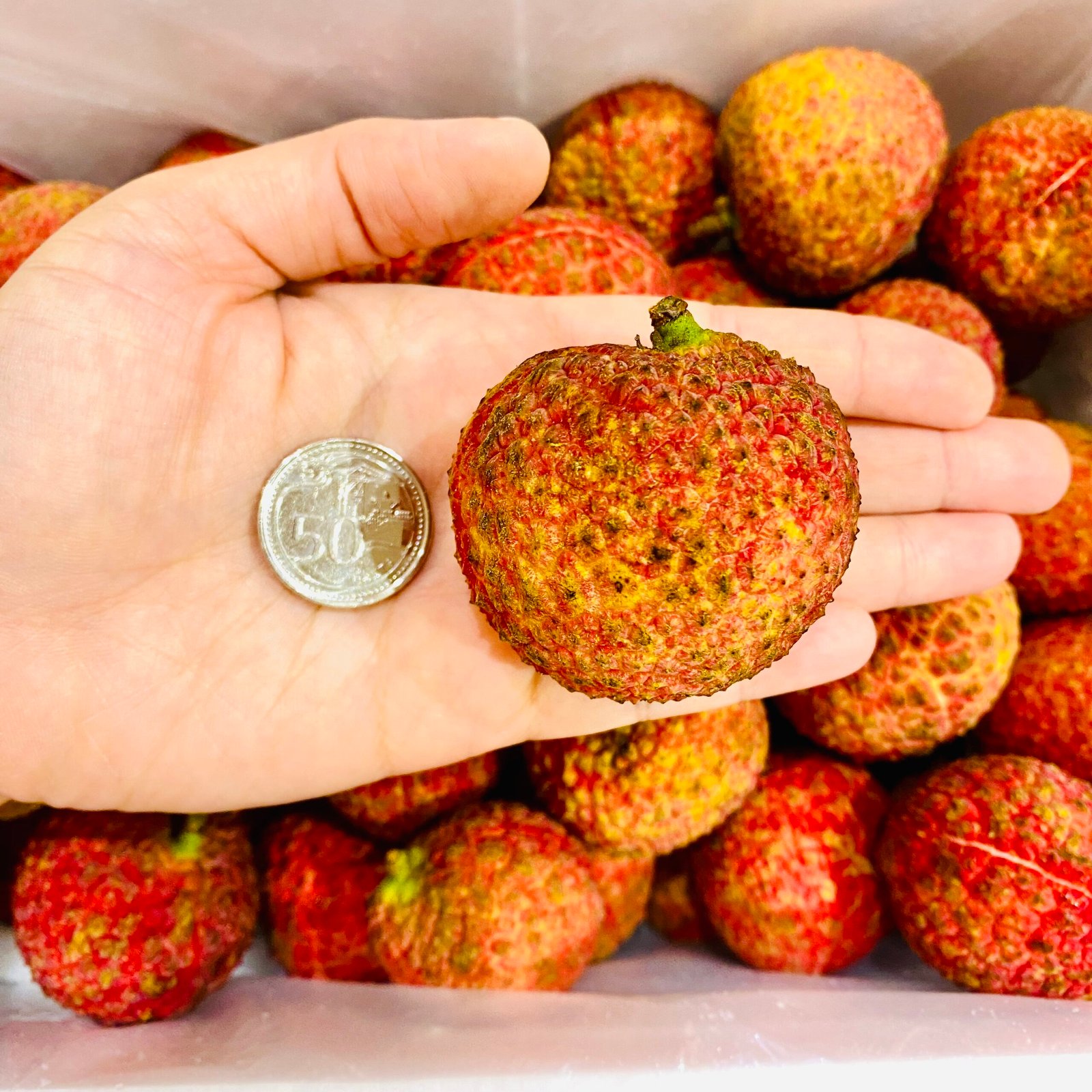 Airflown China Seedless Lychee - Image 5