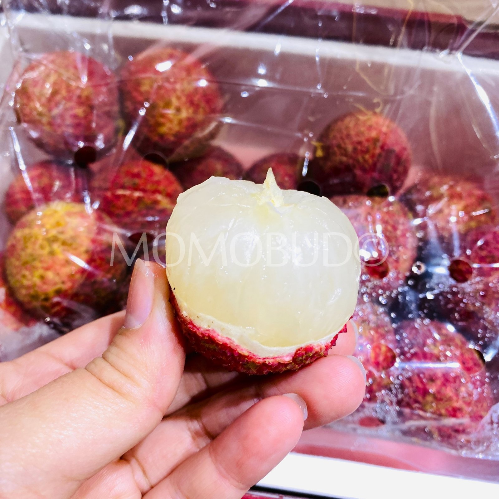 Air-flown Seedless Lychee Gift Box (1kg) - Image 3