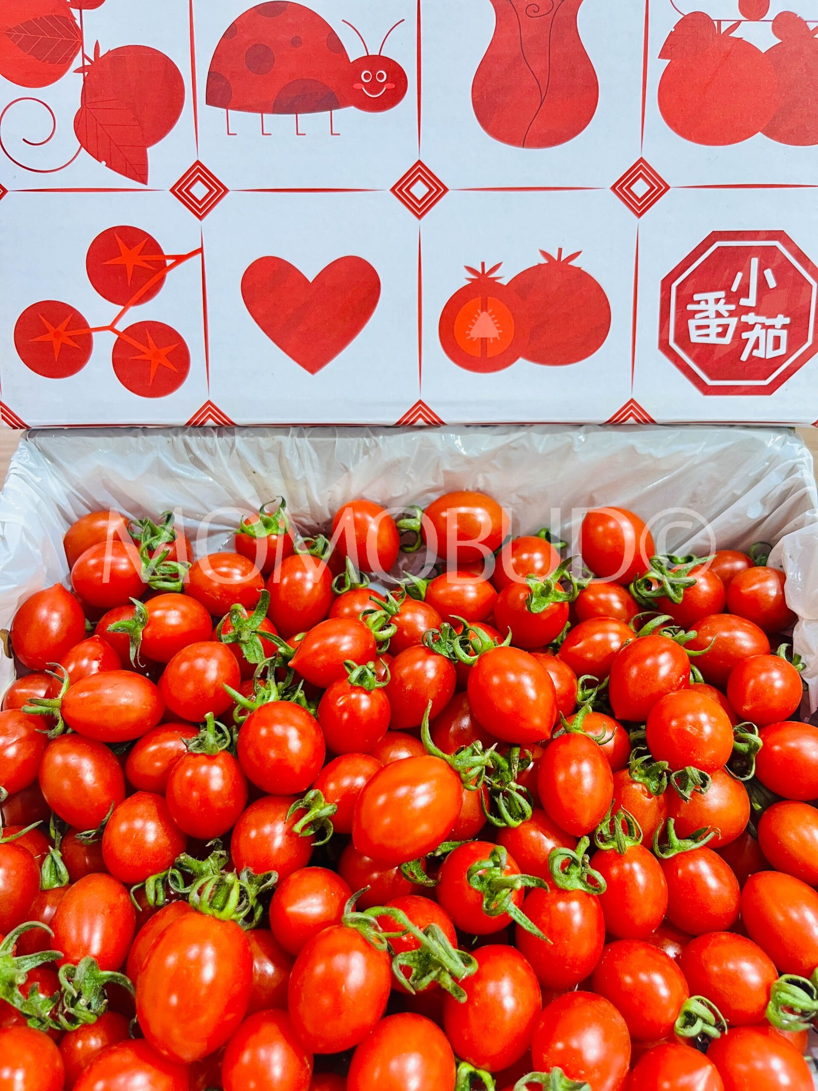 China Xiao Zhu Cherry Tomato Gift Box (1kg) - Image 2